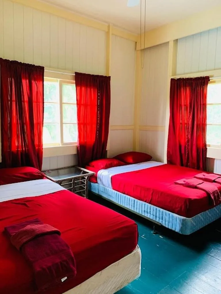 Bed in Wild Ginger Hotel