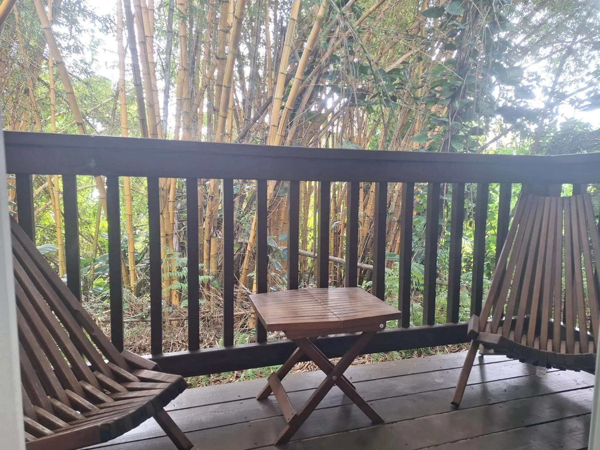 Balcony/Terrace in Wild Ginger Hotel
