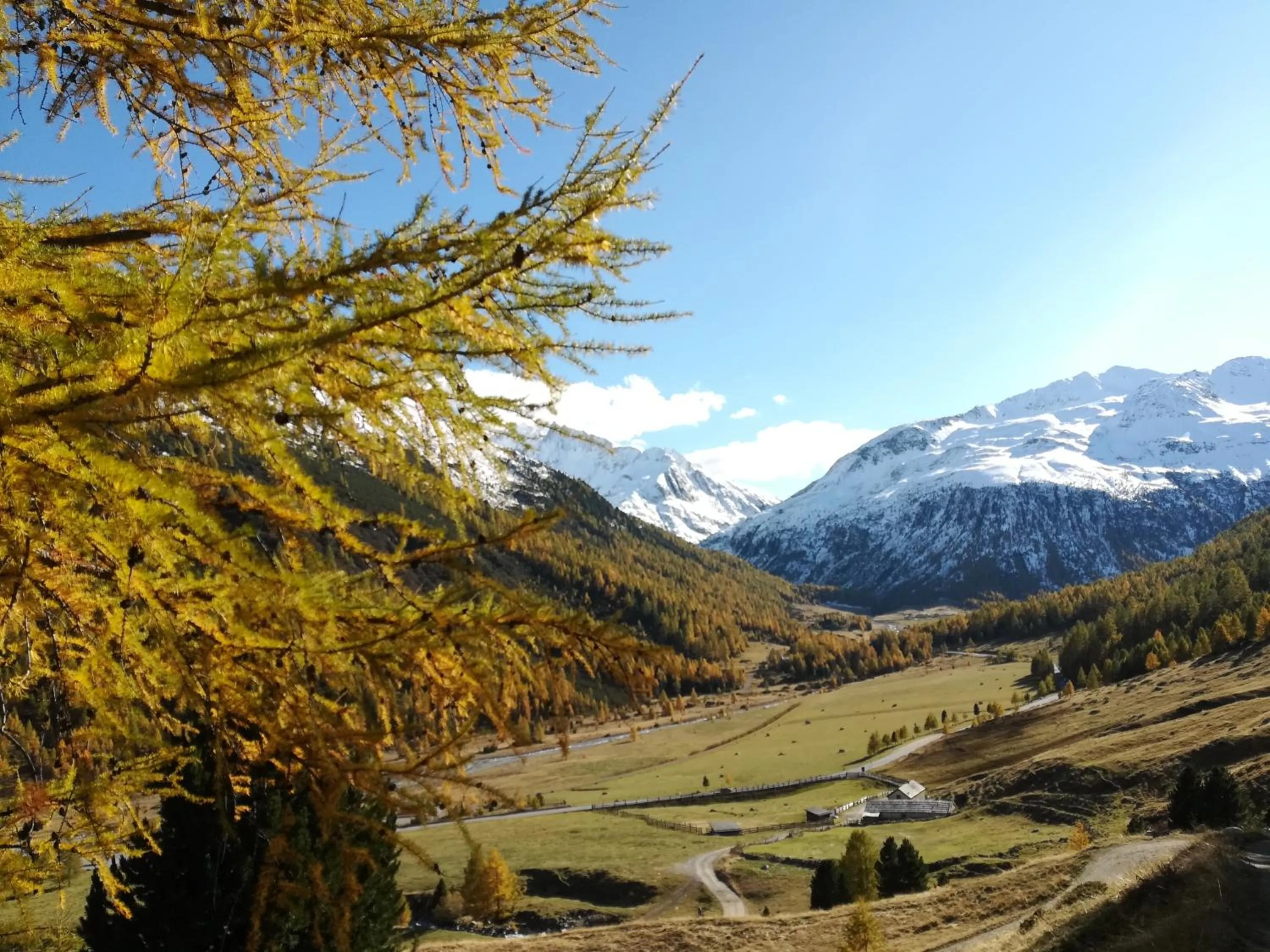 Natural landscape in Bed & Breakfast Campaciol
