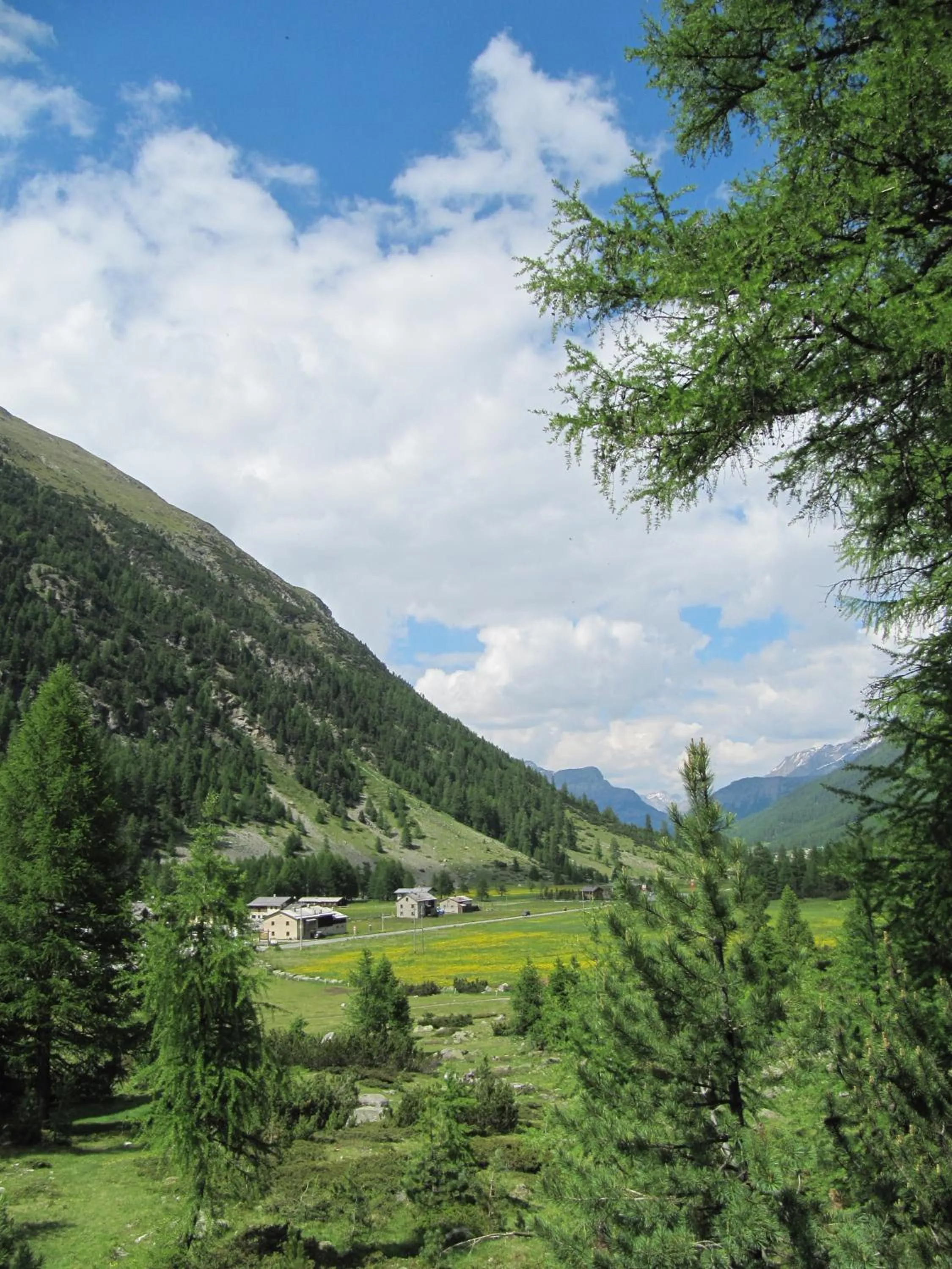 Summer in Bed & Breakfast Campaciol