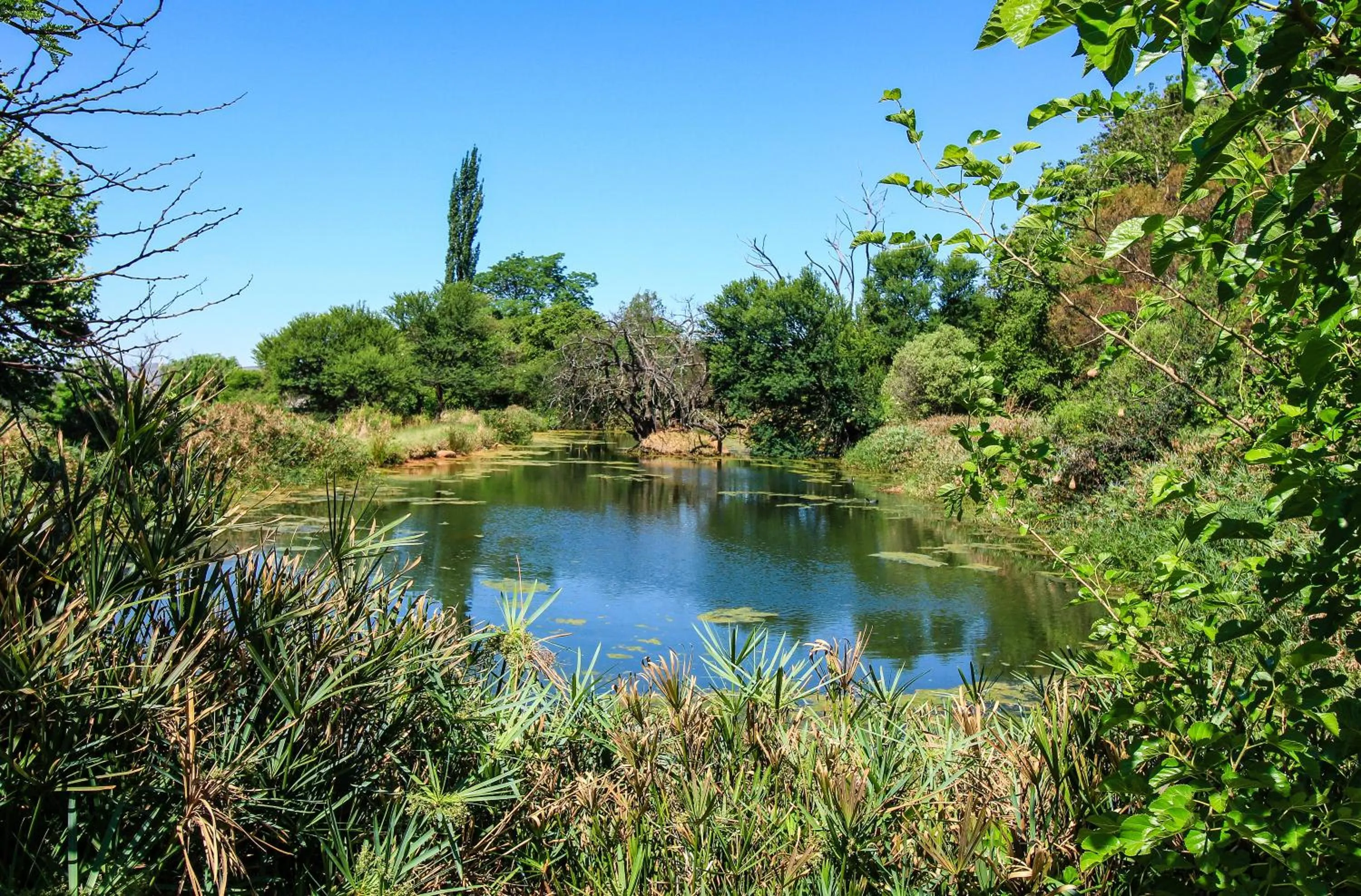 Natural landscape in Budmarsh Country Lodge