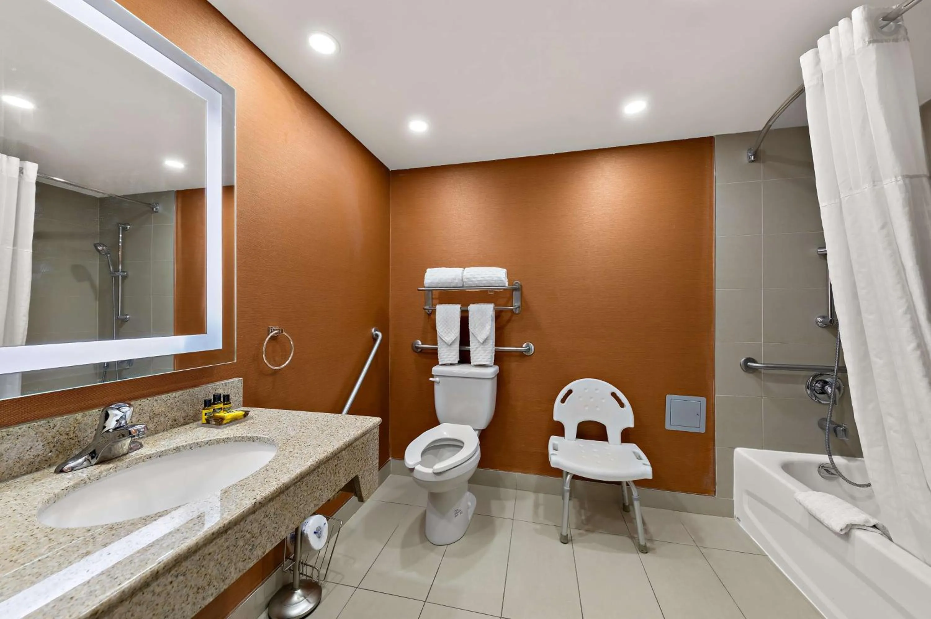 Bathroom in Best Western Plus Toronto North York Hotel & Suites