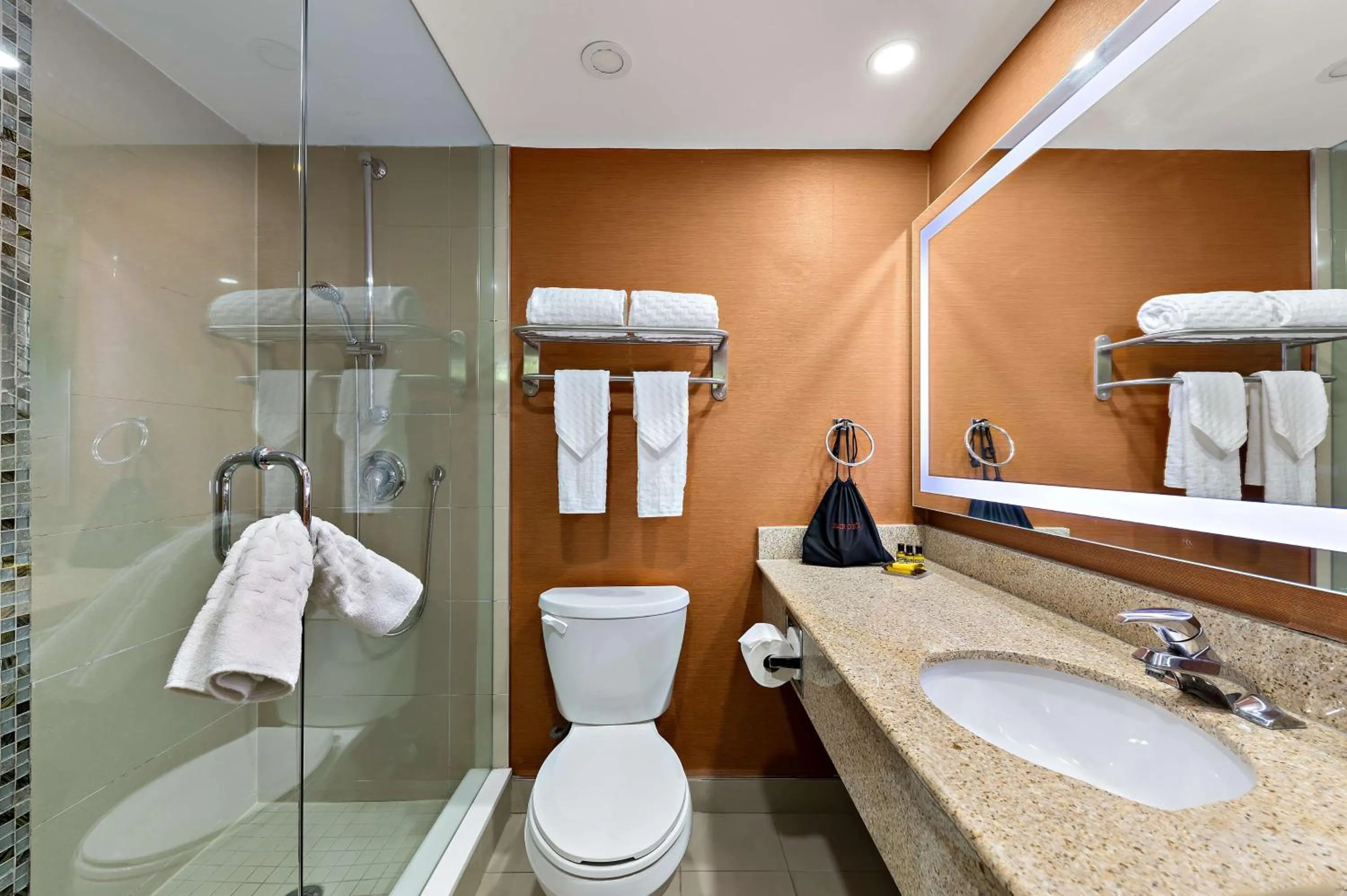 Bathroom in Best Western Plus Toronto North York Hotel & Suites