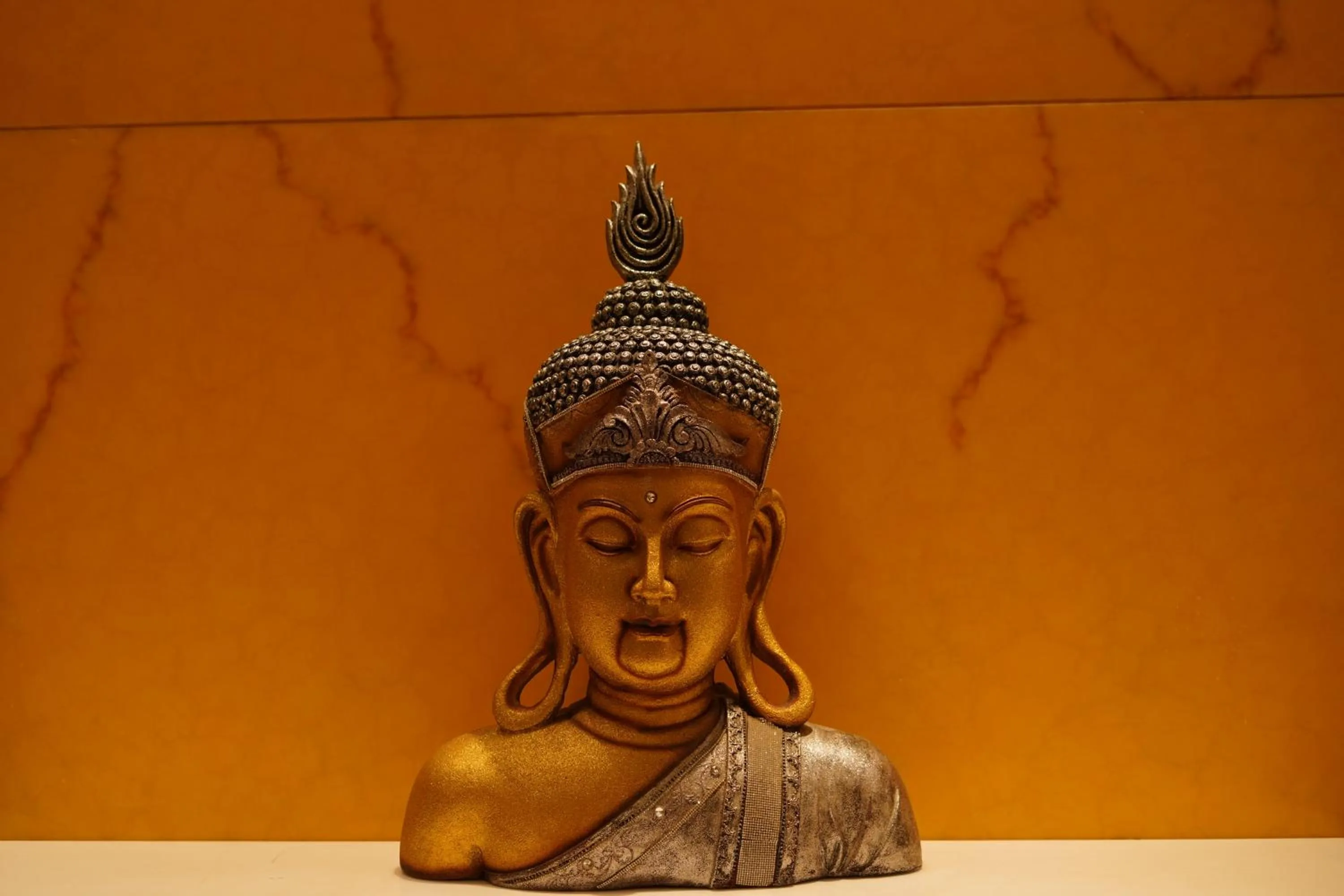 View (from property/room) in Stardom Resort Jaipur