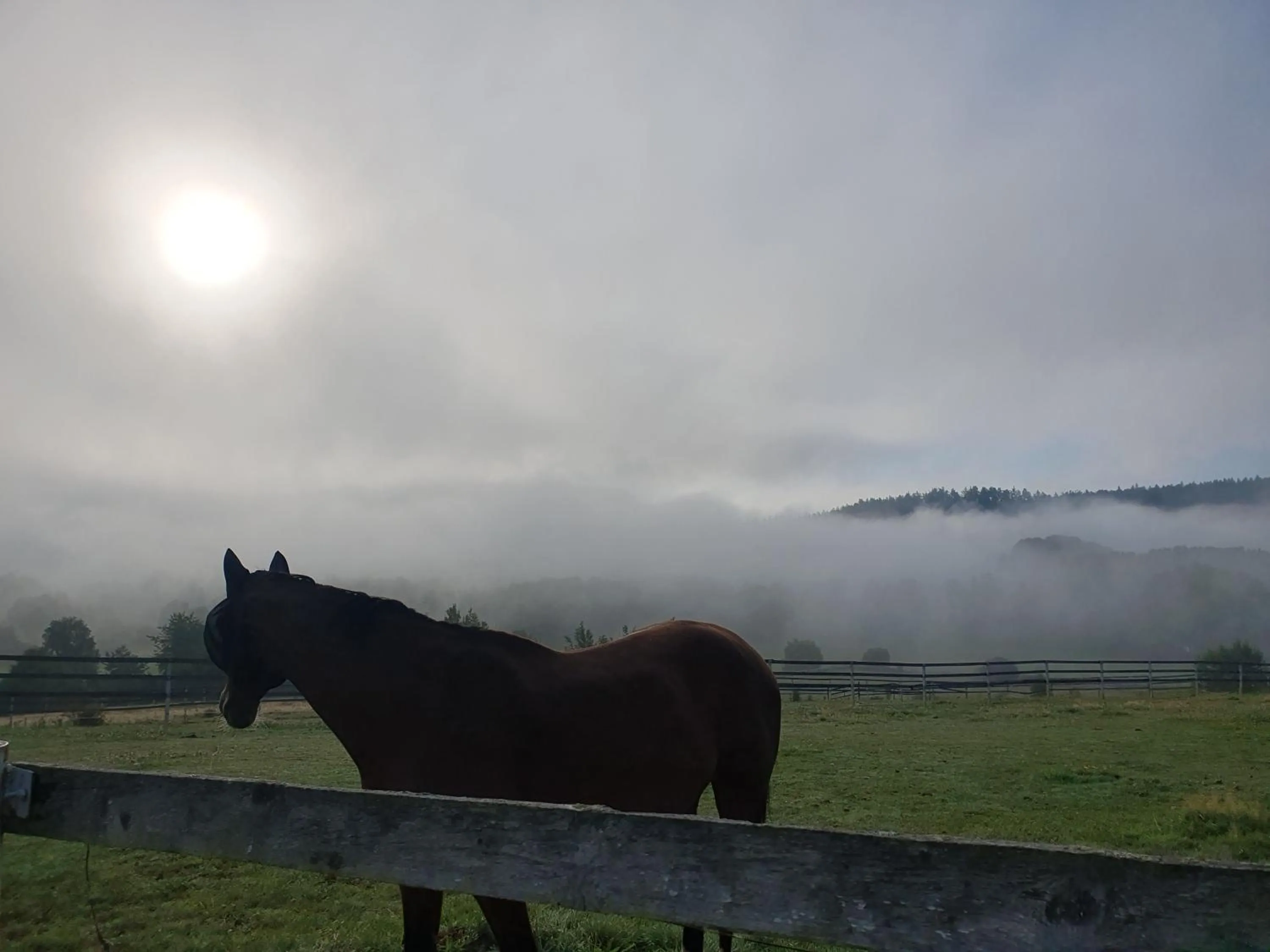 Hotelový a jezdecký areál Dvůr Krutěnice
