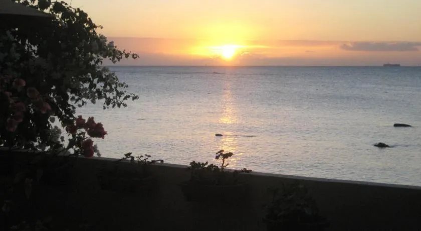 Le cactus guesthouse