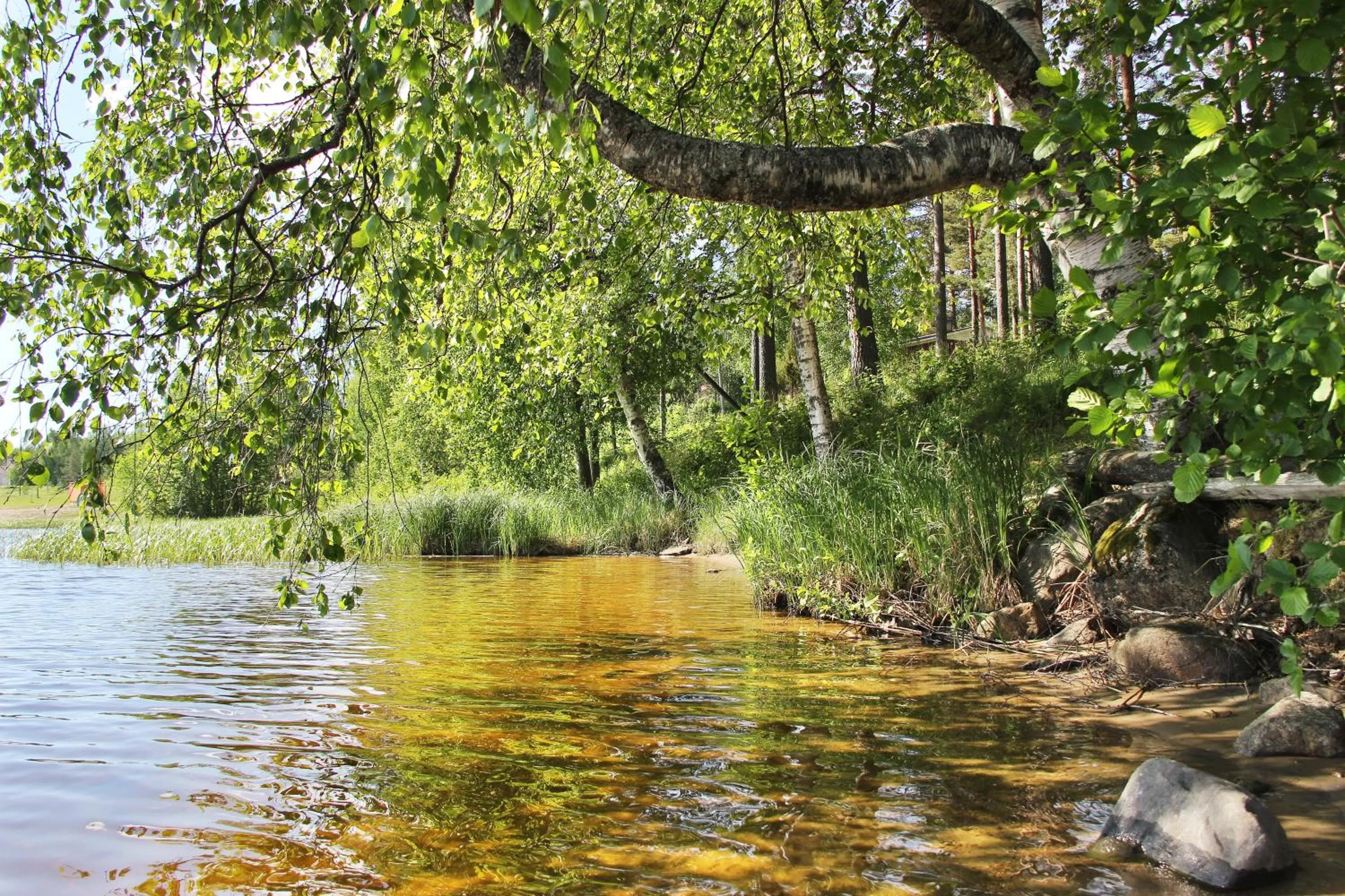 Natural landscape in Summer Hotel Tähtelä, Alkio-opisto