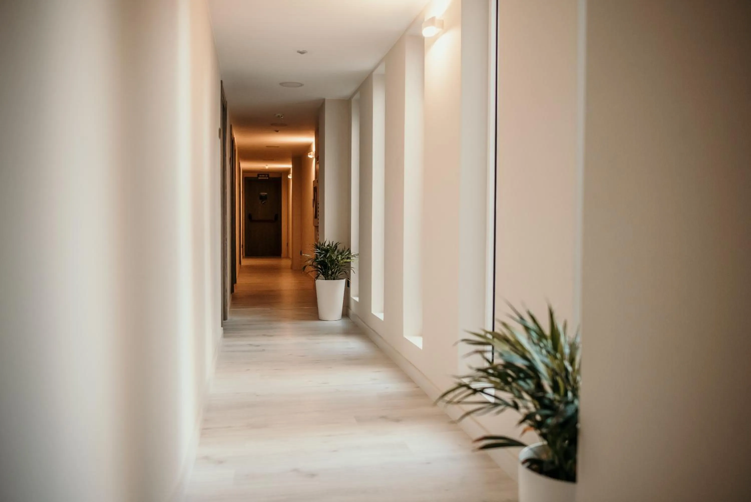 Area and facilities in Hotel Lux Melide