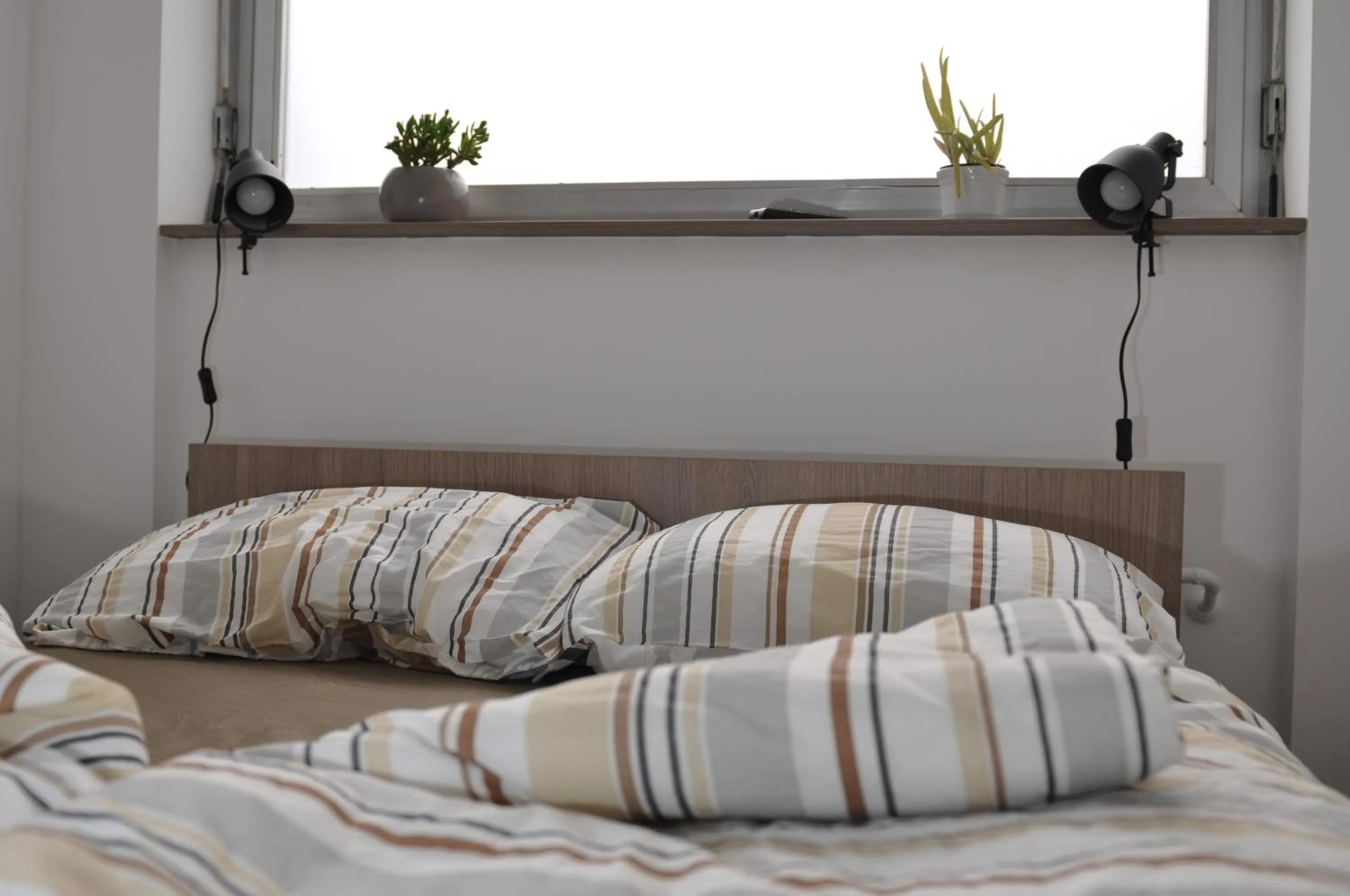 Bed in Hostel Tivoli