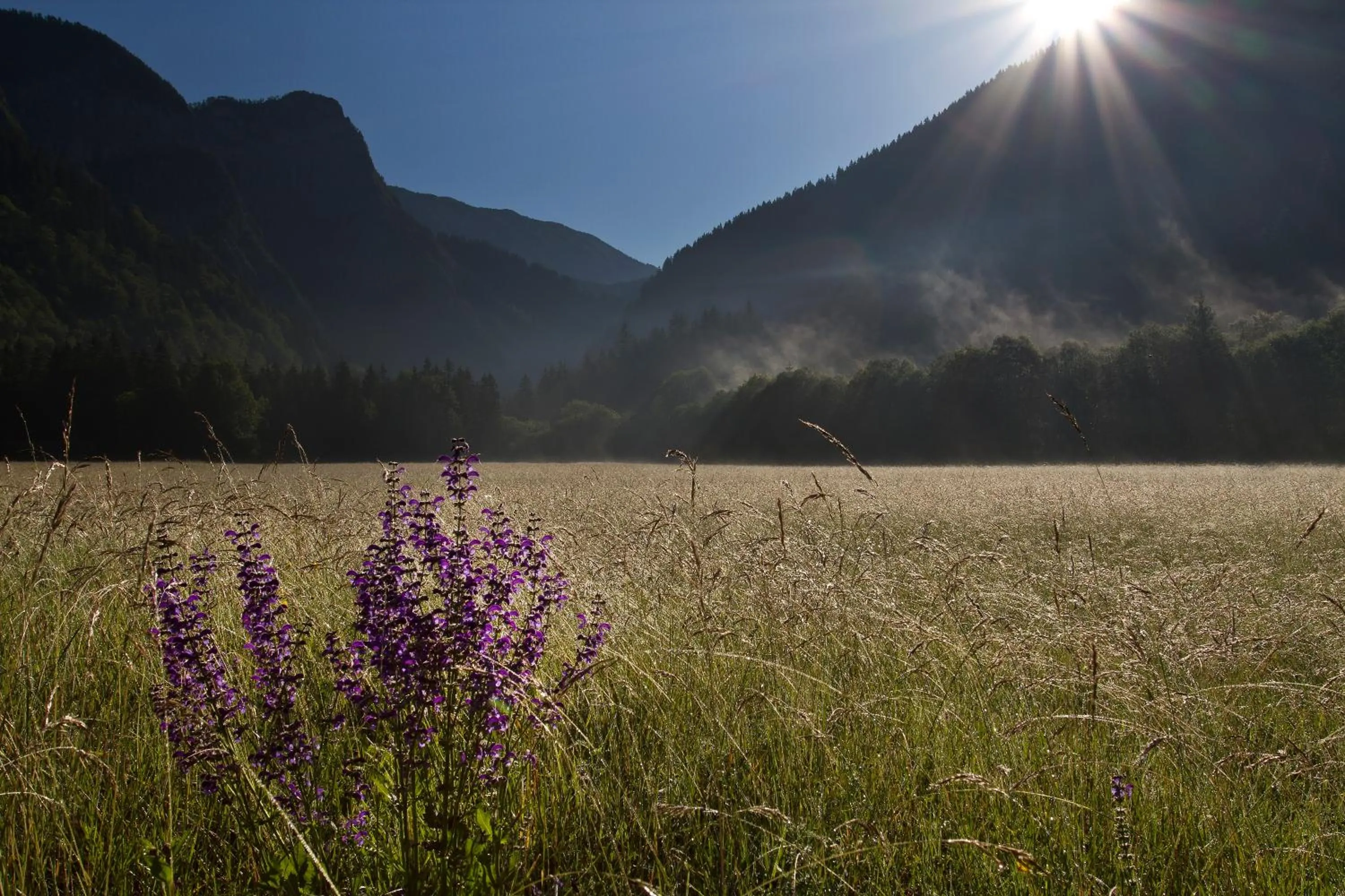 Sunrise in Eko hiša-Eco House Na razpotju