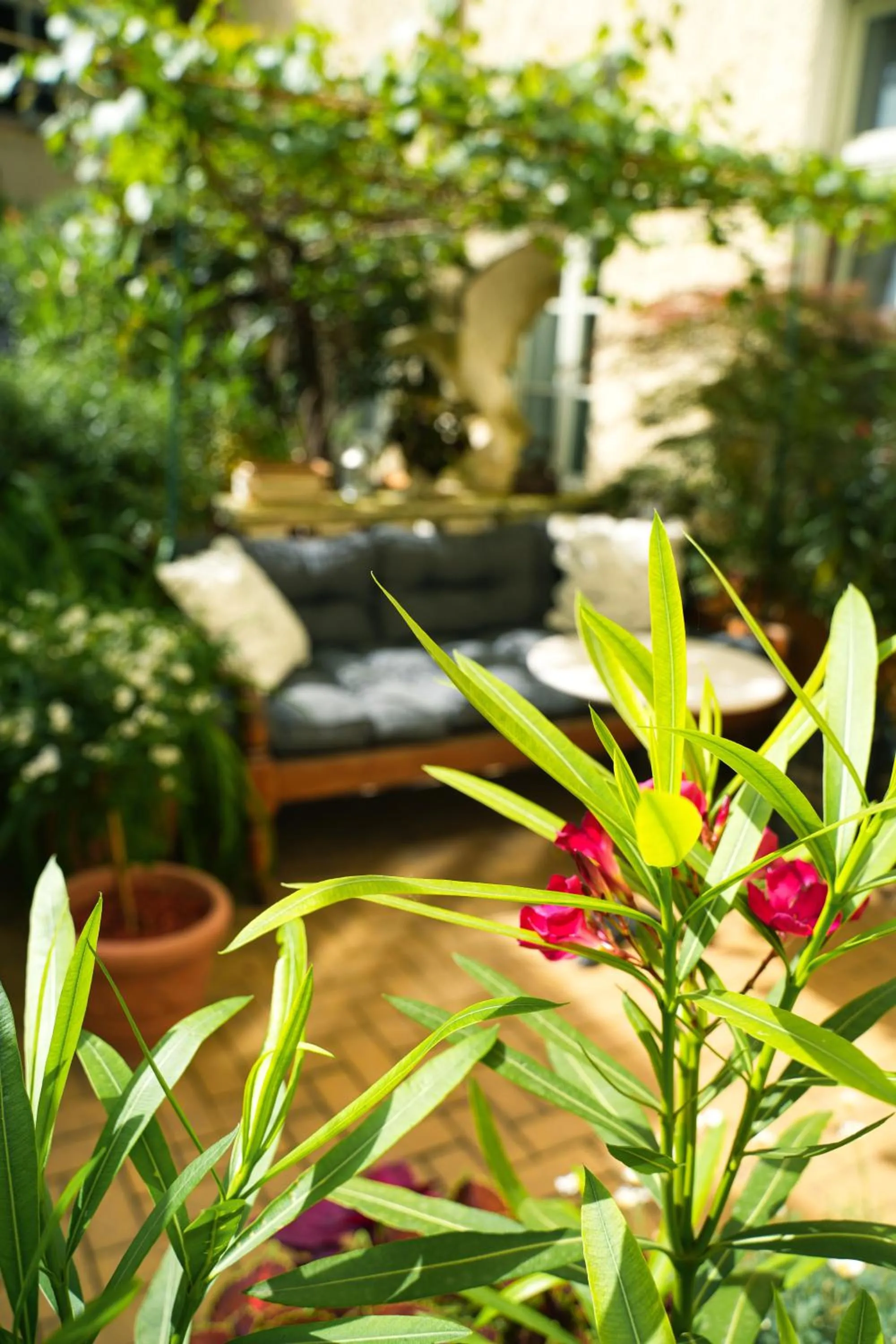 Garden in Honigmond Boutique Hotel