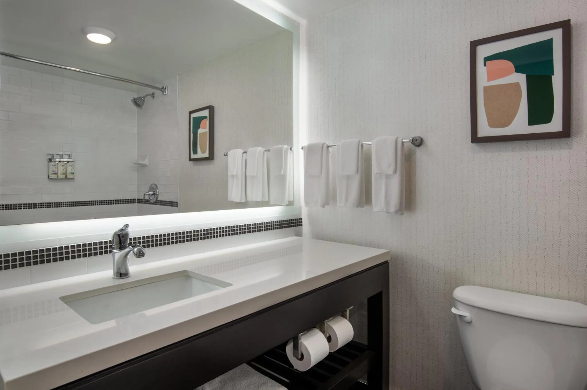 Bathroom in Holiday Inn Hotel & Suites St.Catharines-Niagara by IHG