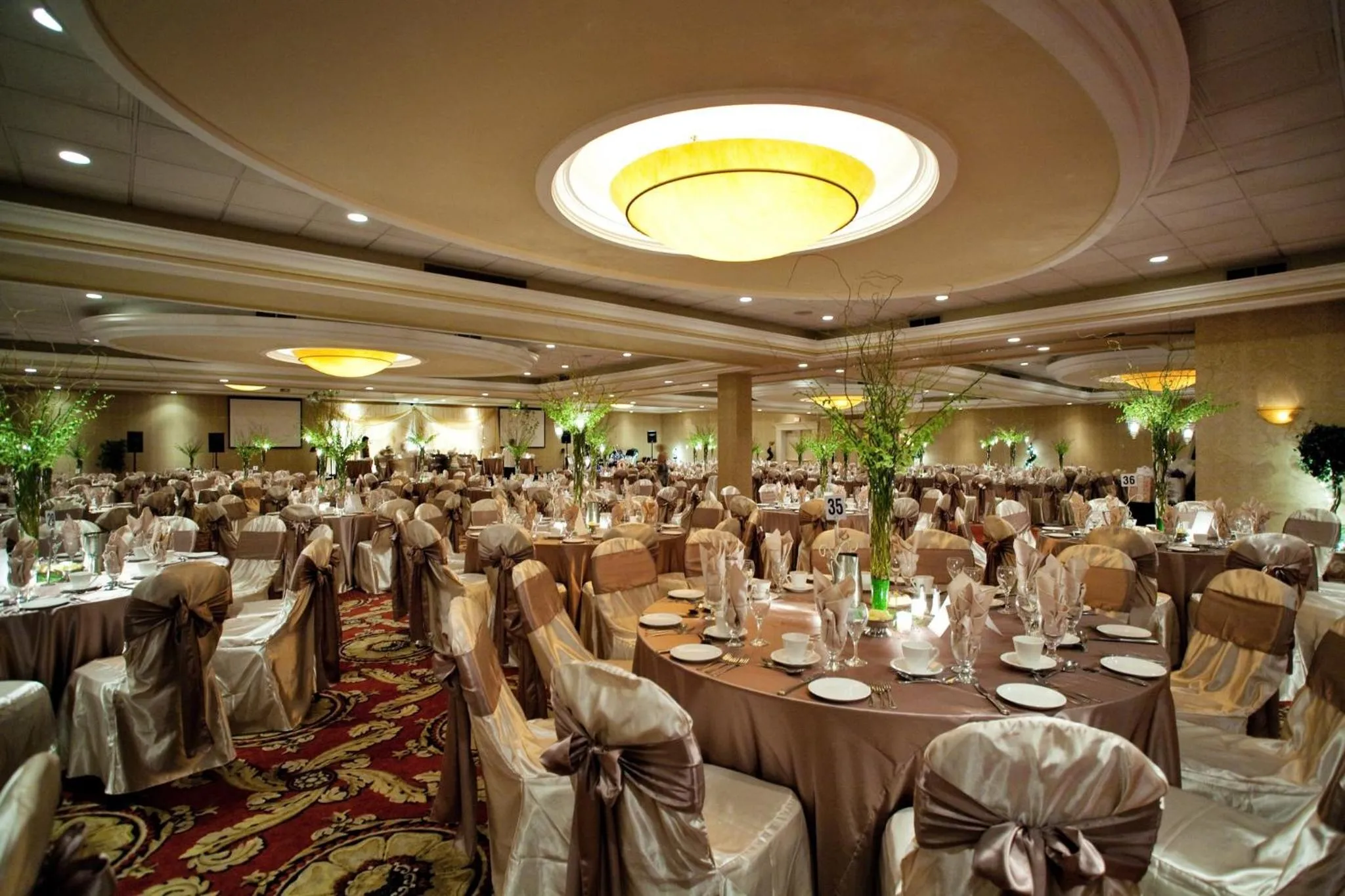 Banquet/Function facilities in Holiday Inn Hotel & Suites St.Catharines-Niagara by IHG
