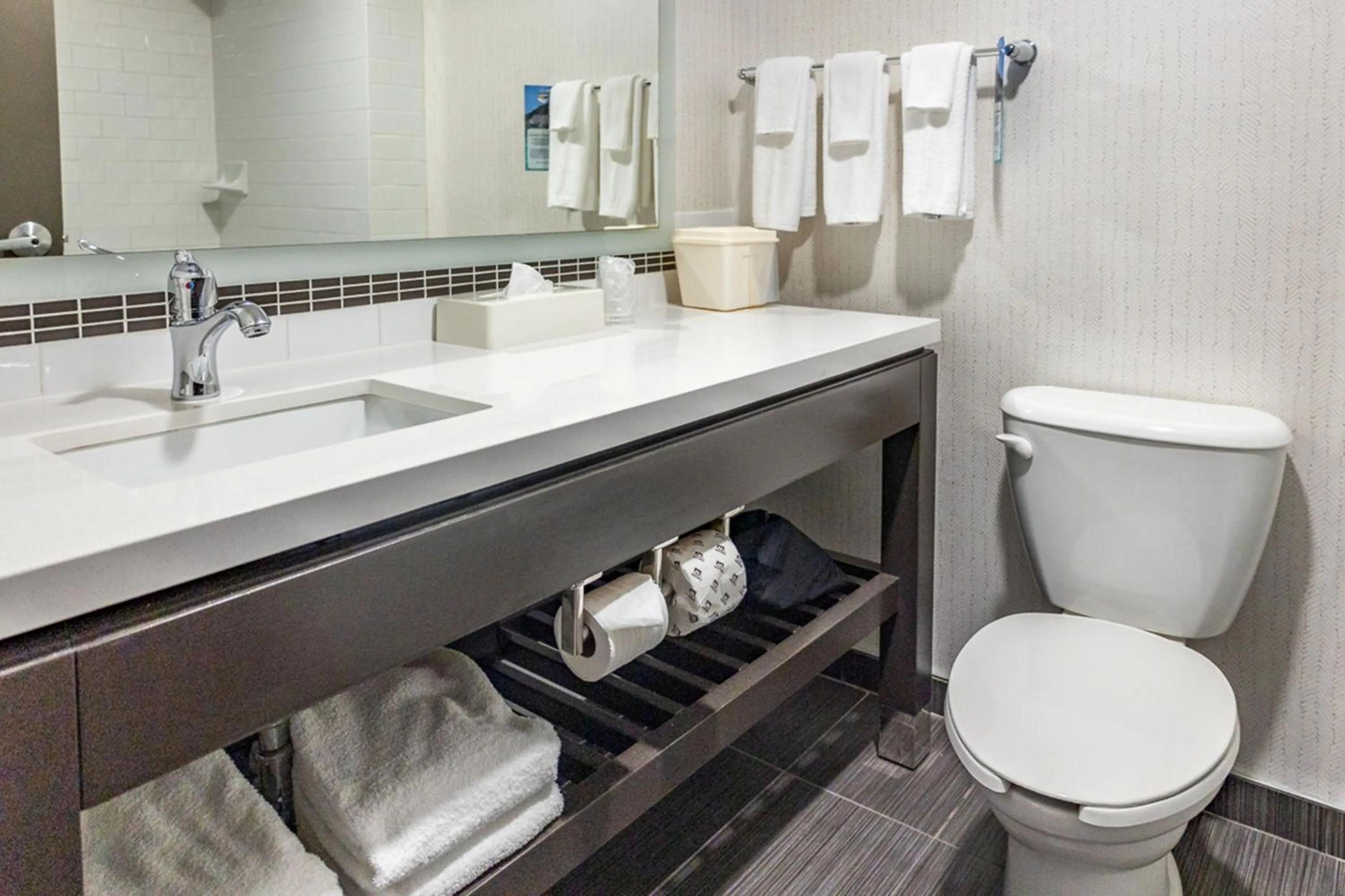 Toilet in Holiday Inn Hotel & Suites St.Catharines-Niagara by IHG