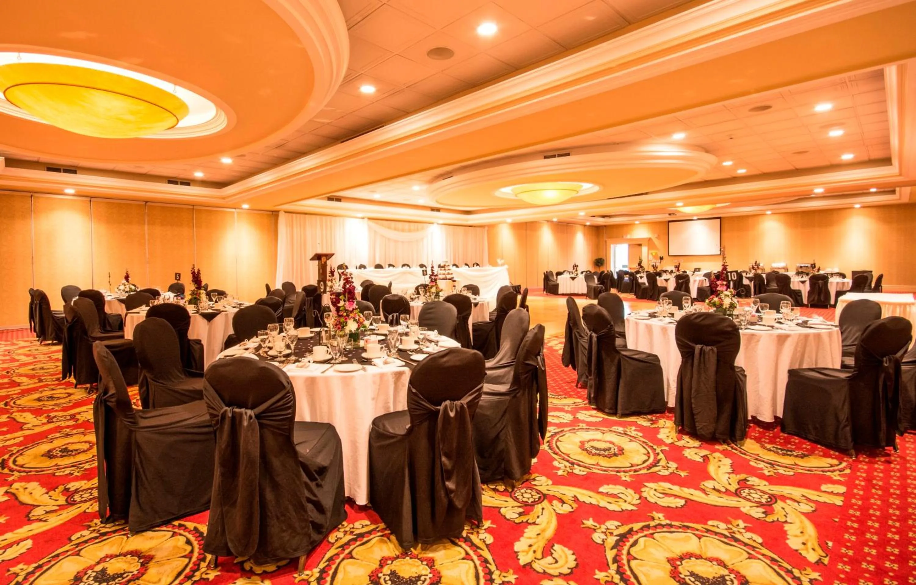 Banquet/Function facilities in Holiday Inn Hotel & Suites St.Catharines-Niagara by IHG