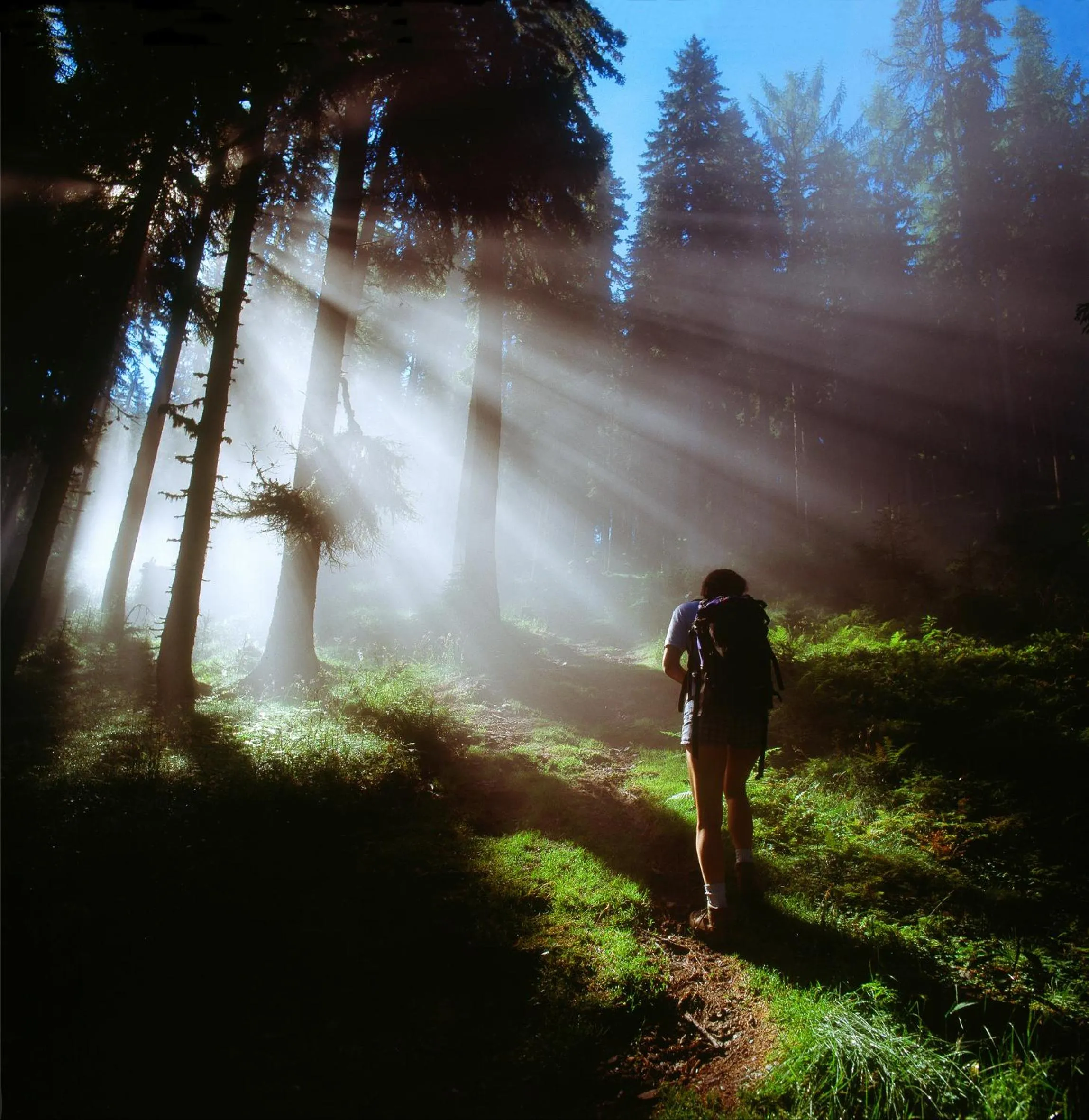 Hiking in Hotel-Pension Egger