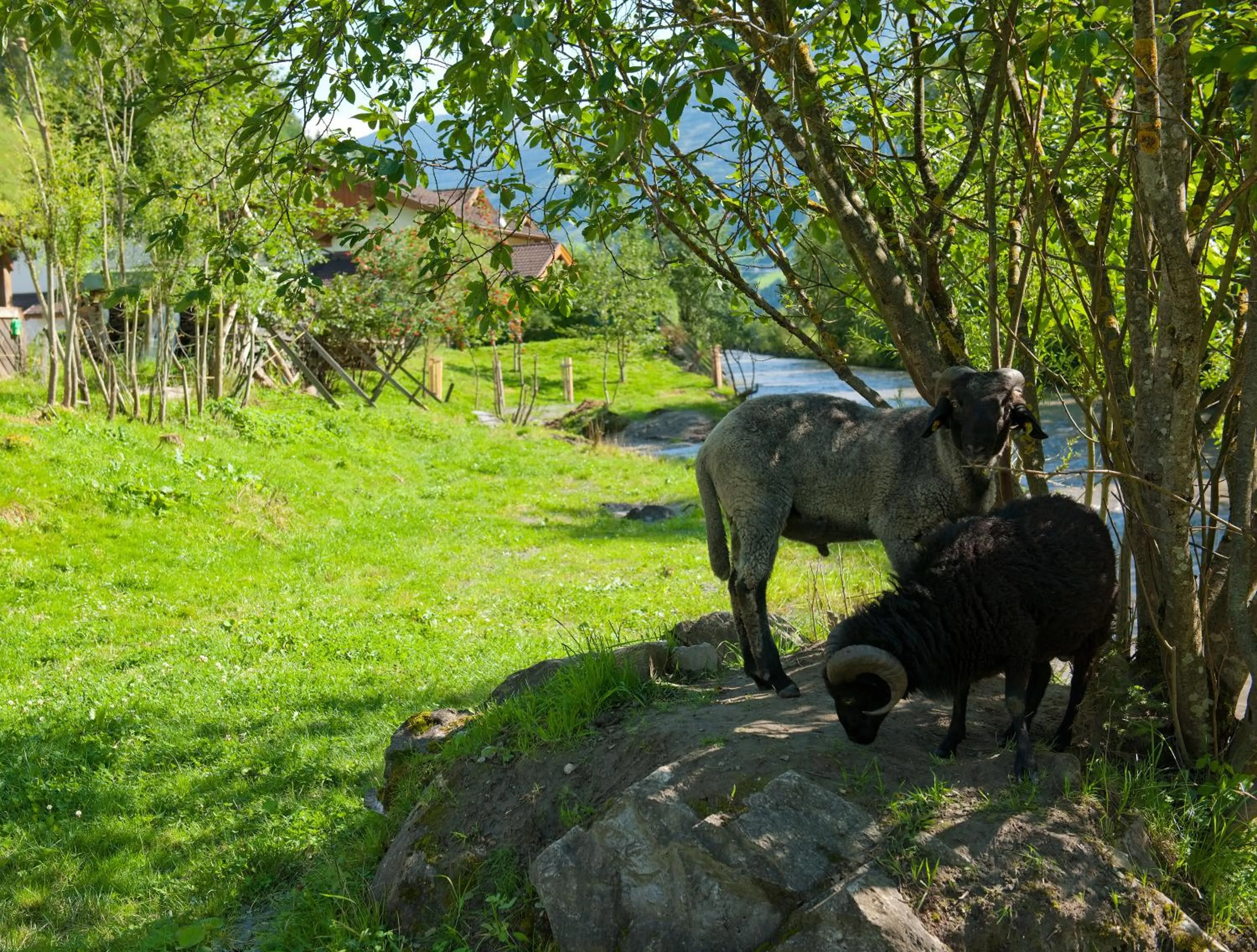Facade/entrance in Hotel-Pension Egger