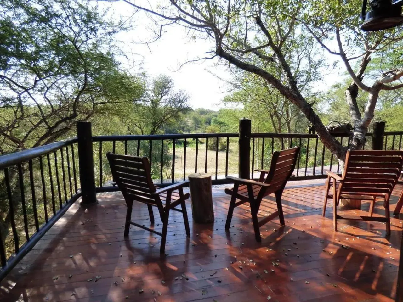Patio in Zazu Private Bush Lodge, Formerly Masodini