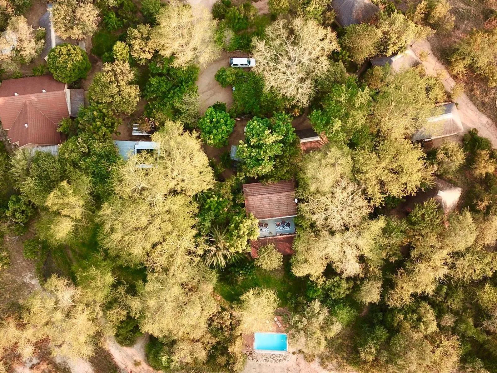 Bird's eye view in Zazu Private Bush Lodge, Formerly Masodini