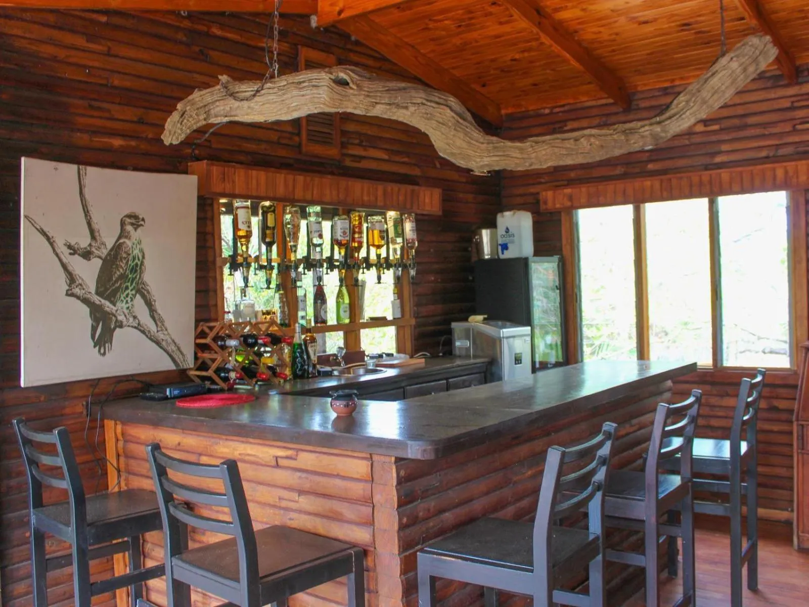 Lounge or bar in Zazu Private Bush Lodge, Formerly Masodini