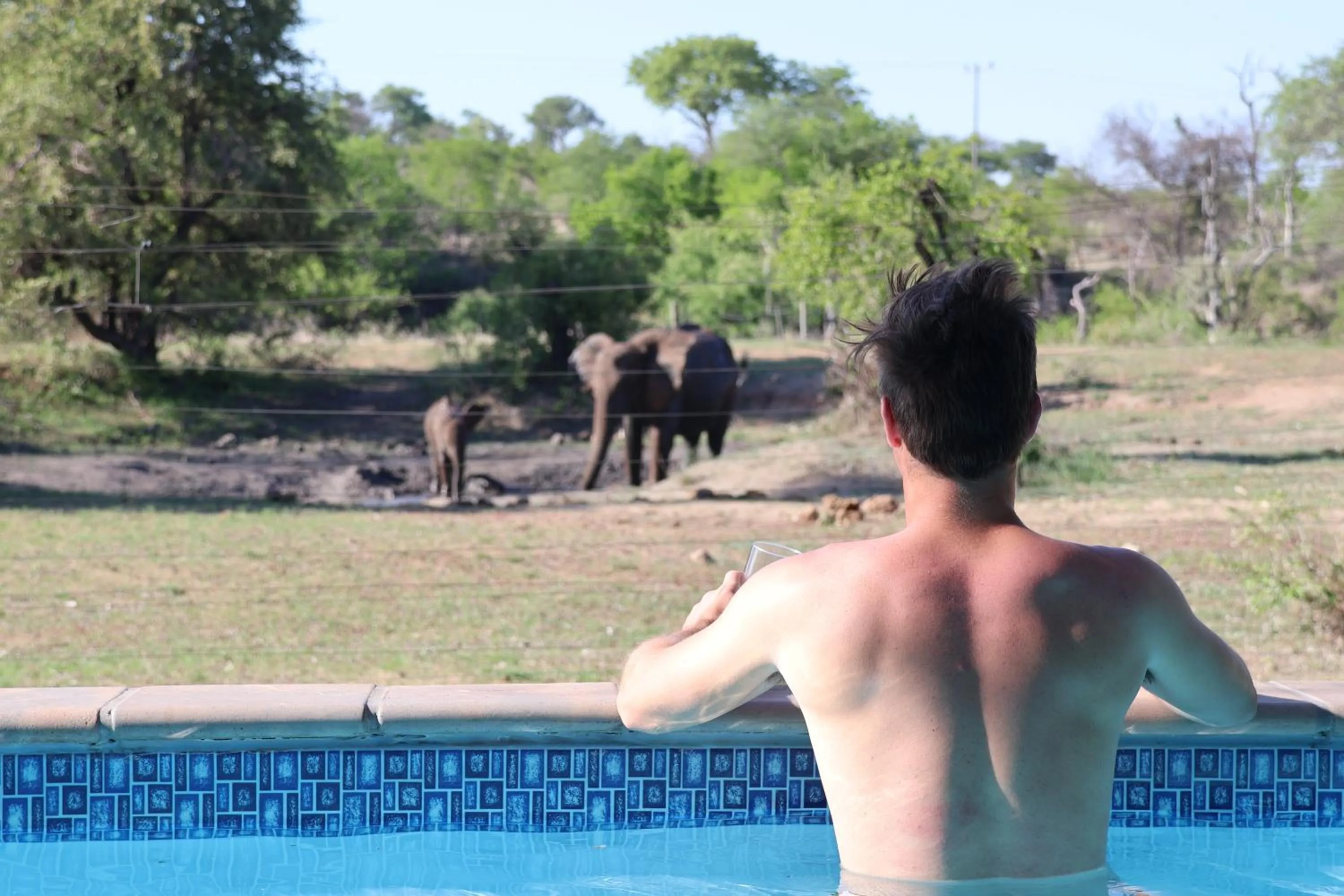 Day in Zazu Private Bush Lodge, Formerly Masodini