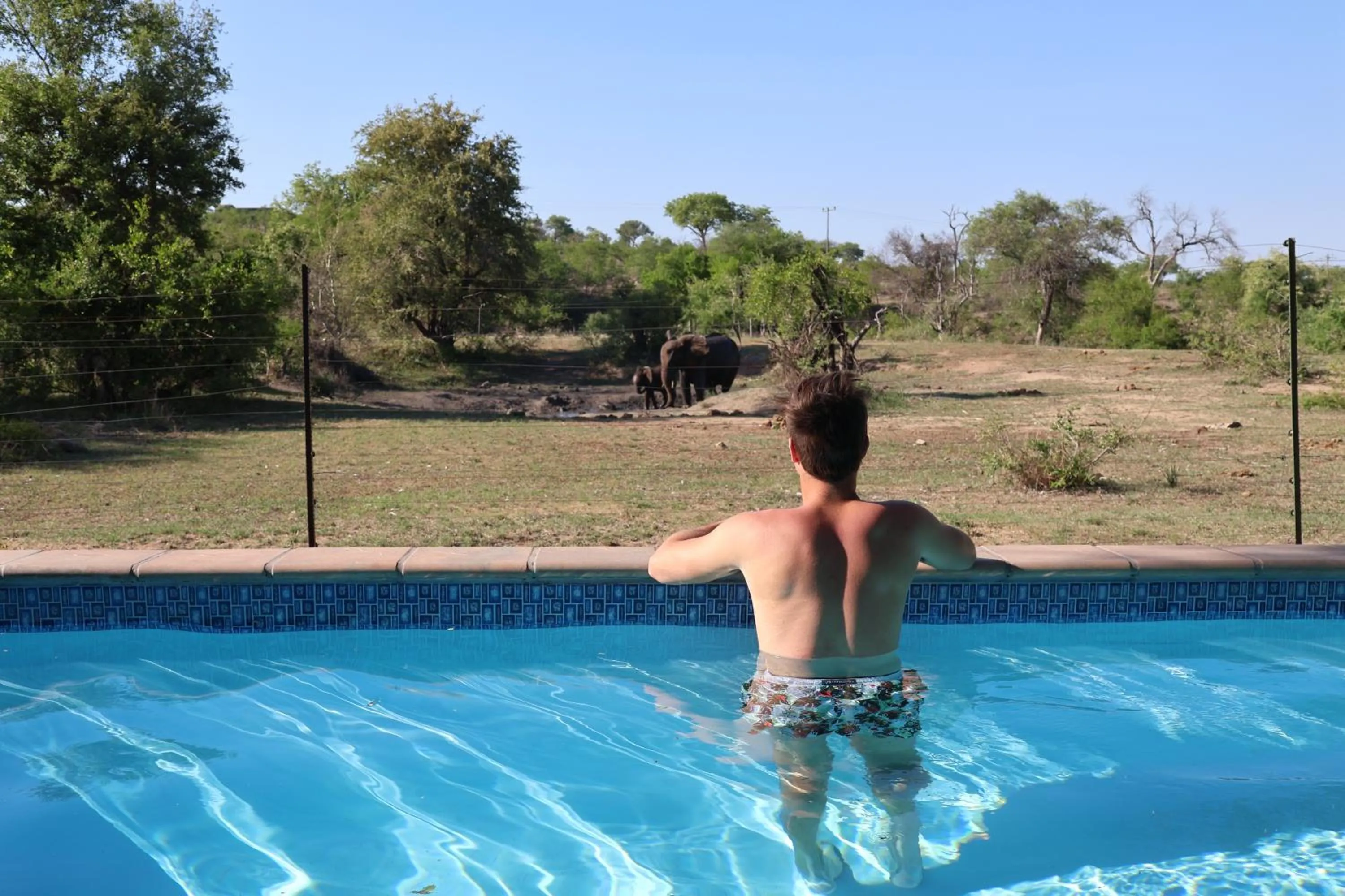 Swimming pool in Zazu Private Bush Lodge, Formerly Masodini
