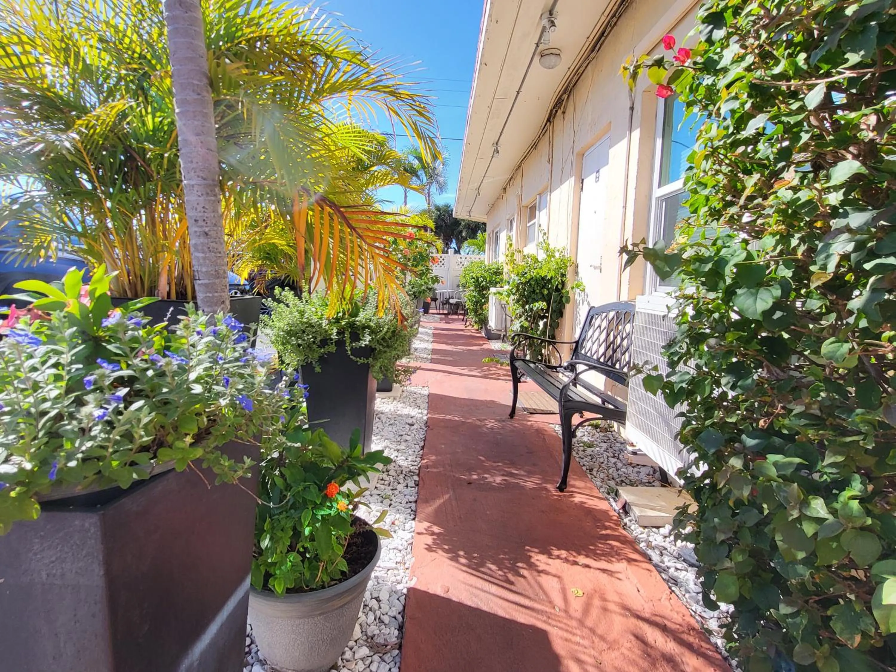 Patio in Barefoot mailman motel