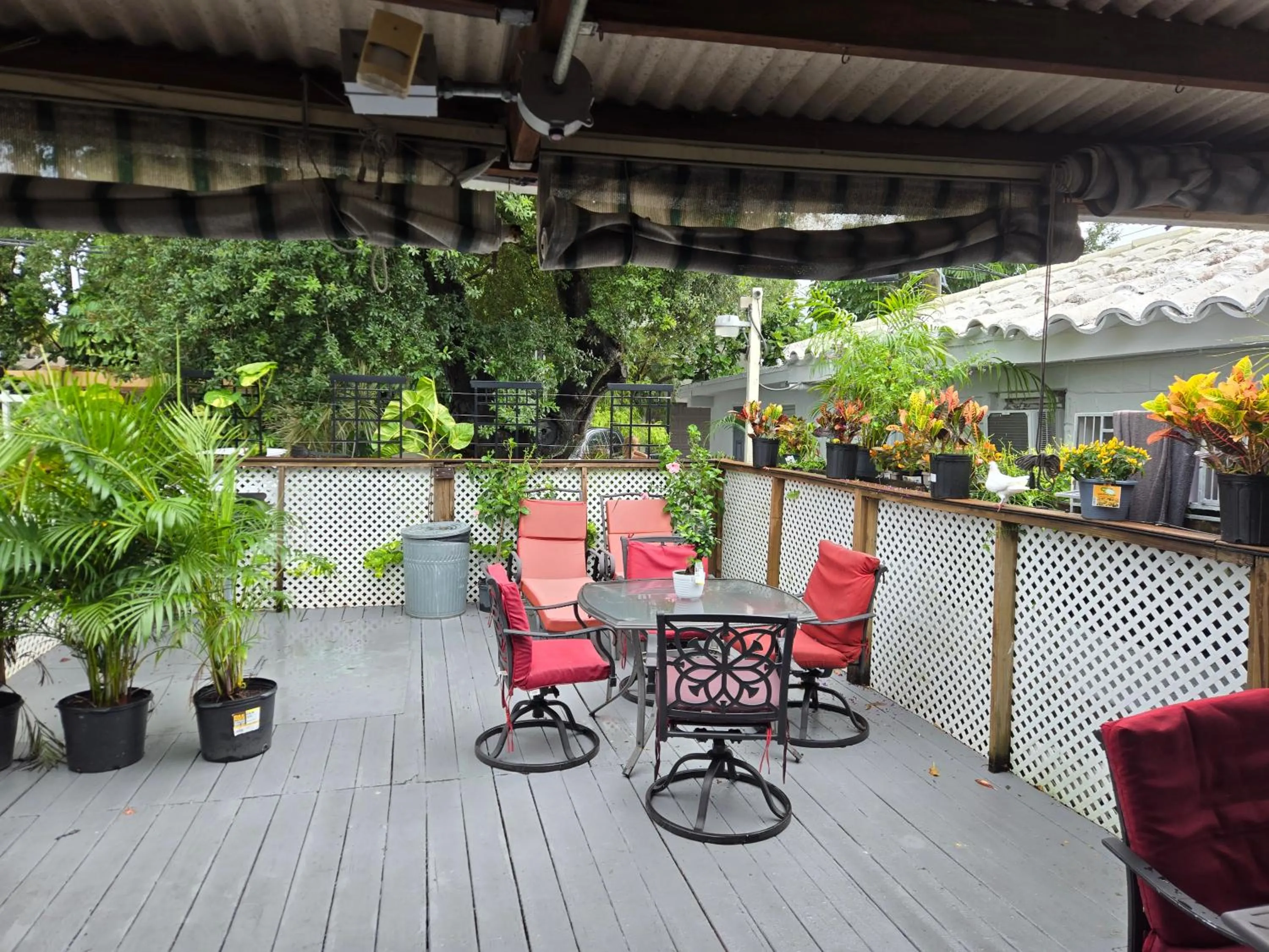 Seating area in Barefoot mailman motel