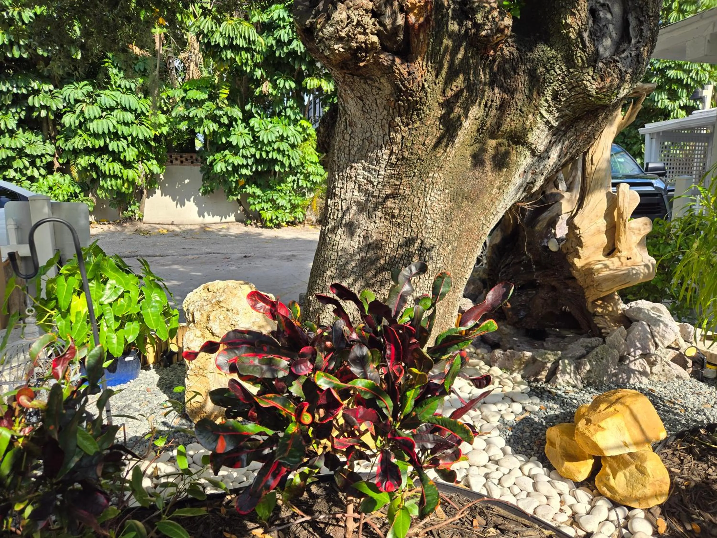 Garden in Barefoot mailman motel