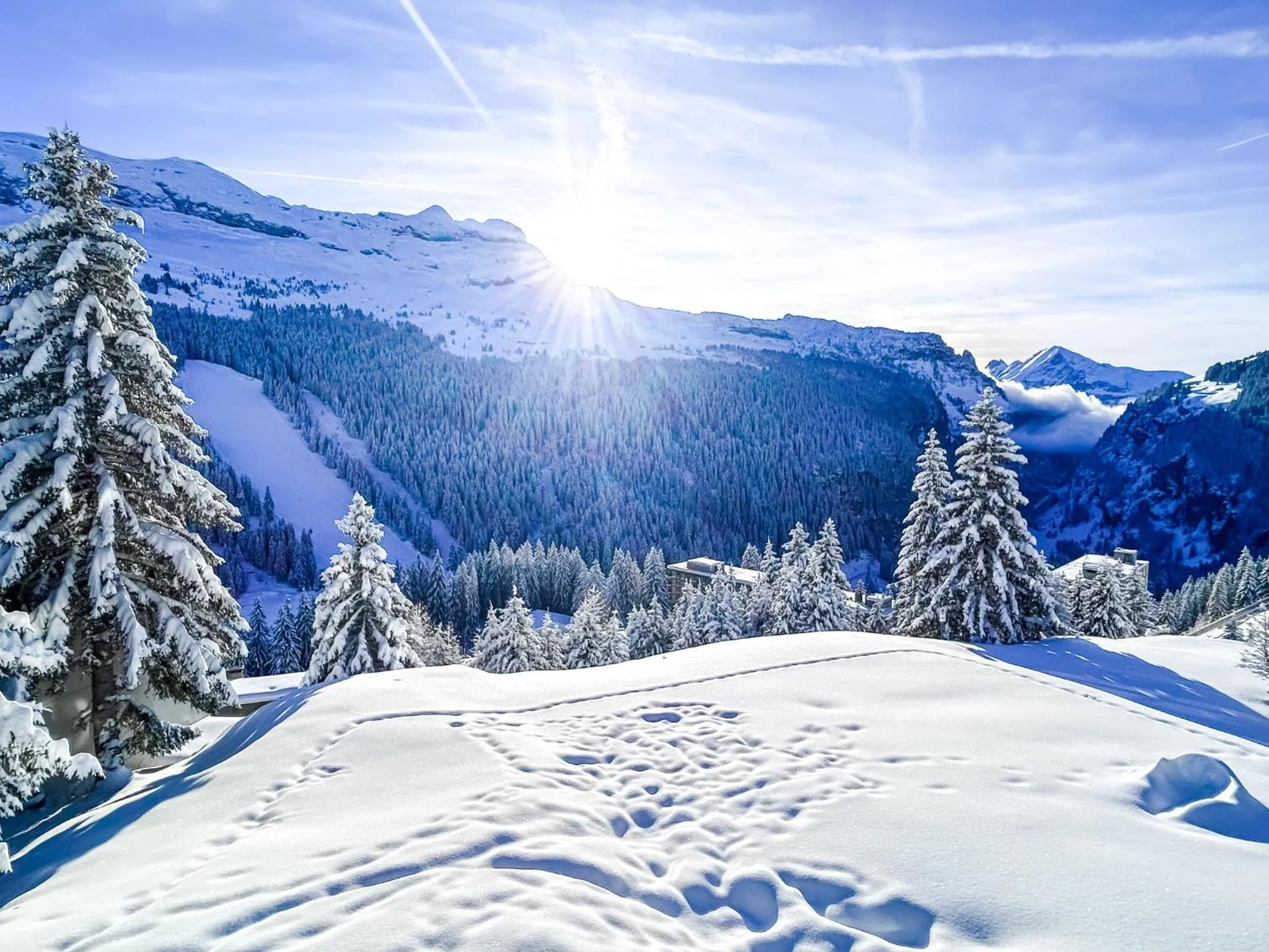 Next to the pistes, 1-bedroom family apartment