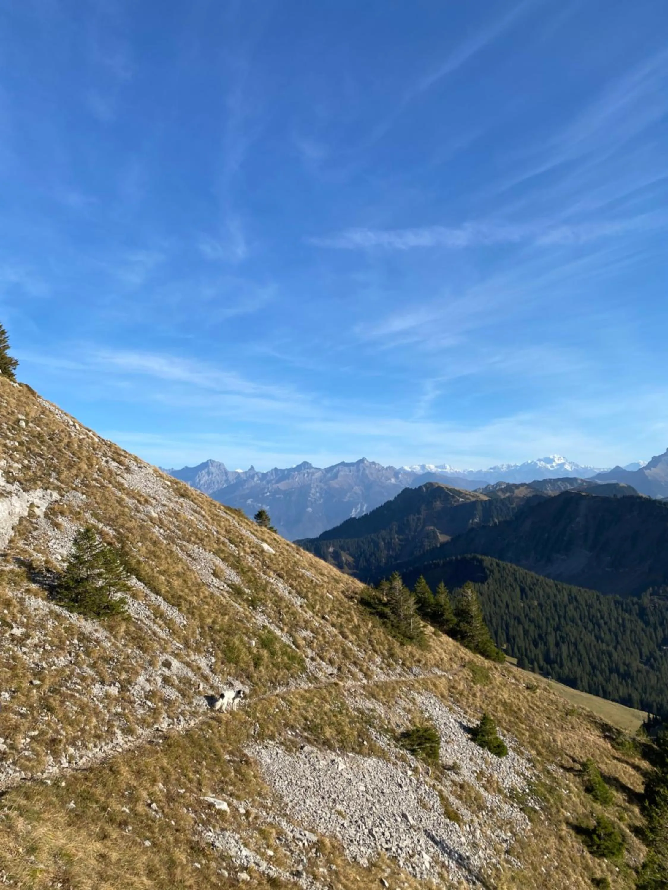 Natural landscape in Le Roitelet