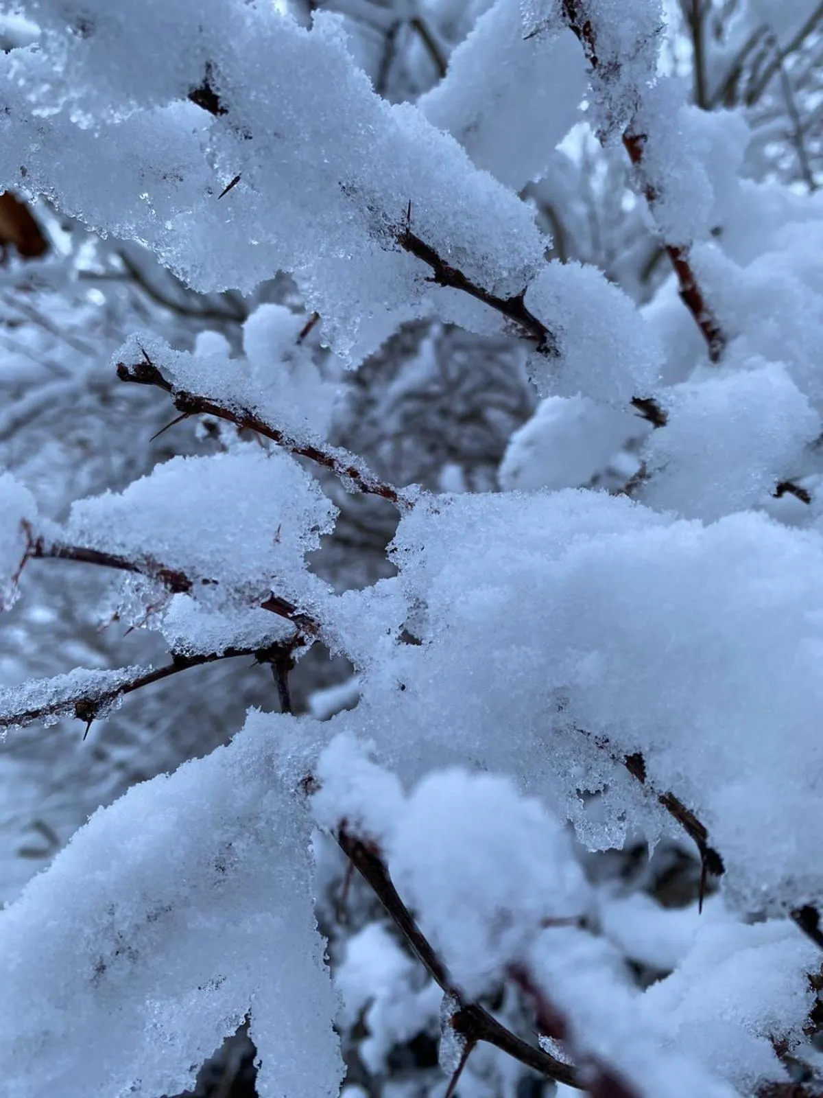 Natural landscape in Le Roitelet