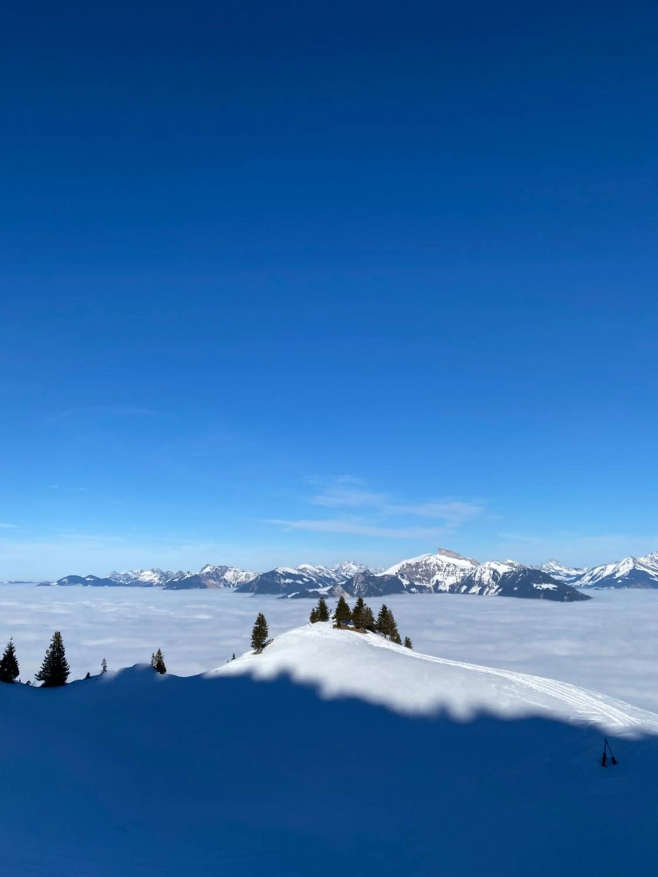 Natural landscape in Le Roitelet