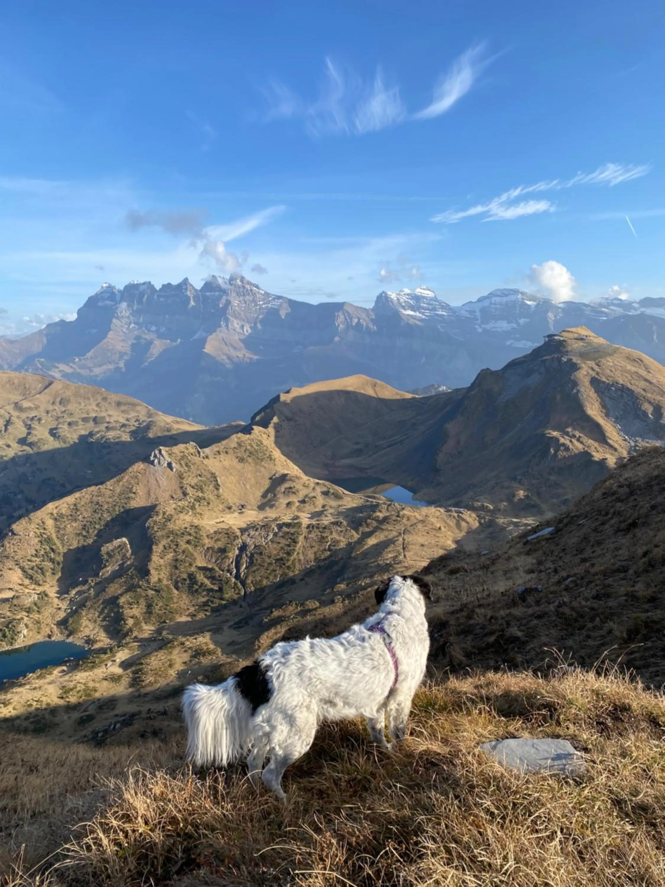 Natural landscape in Le Roitelet