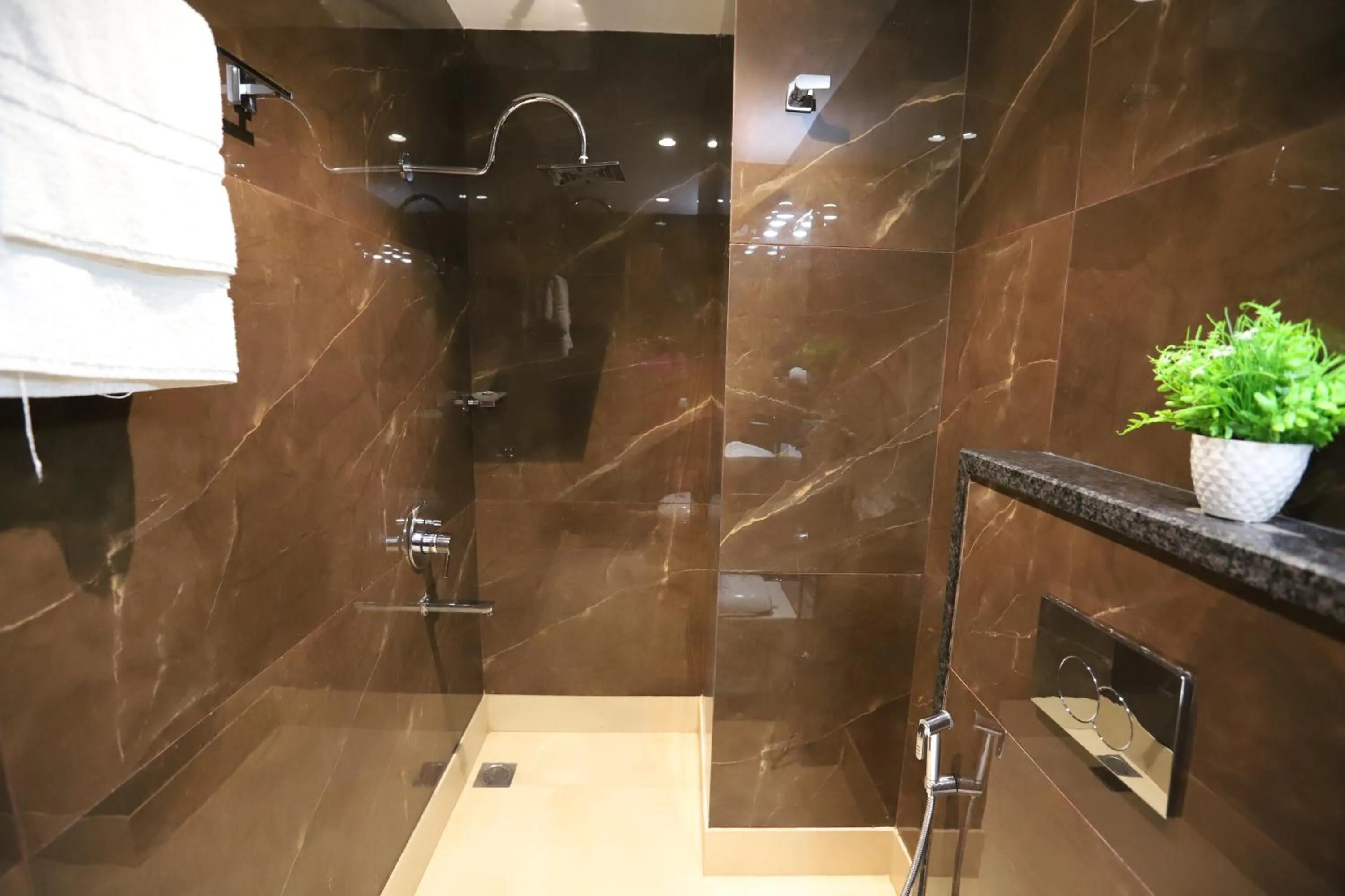 Toilet in Hotel The Magic Tree - Paharganj New Delhi