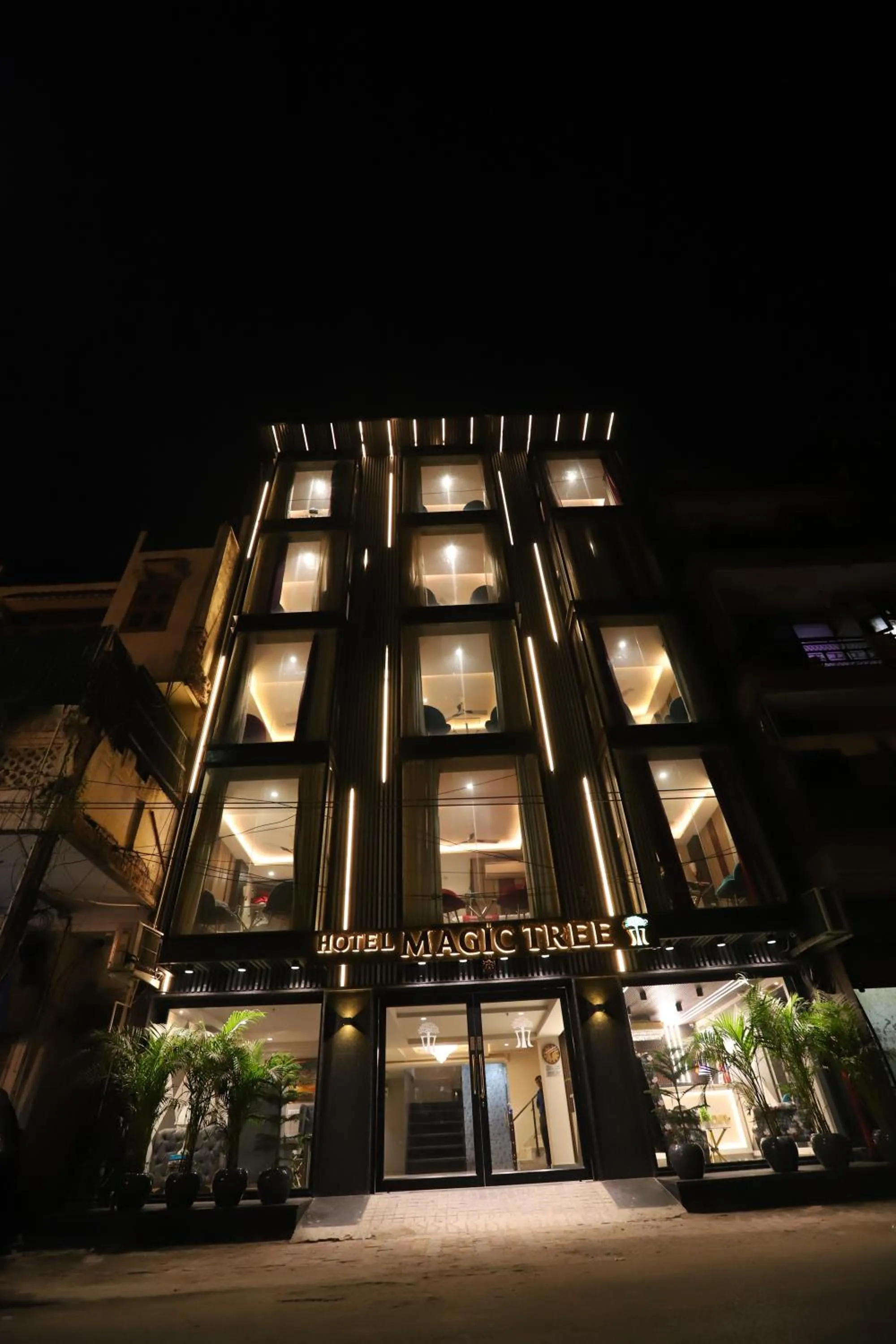 Facade/entrance in Hotel The Magic Tree - Paharganj New Delhi
