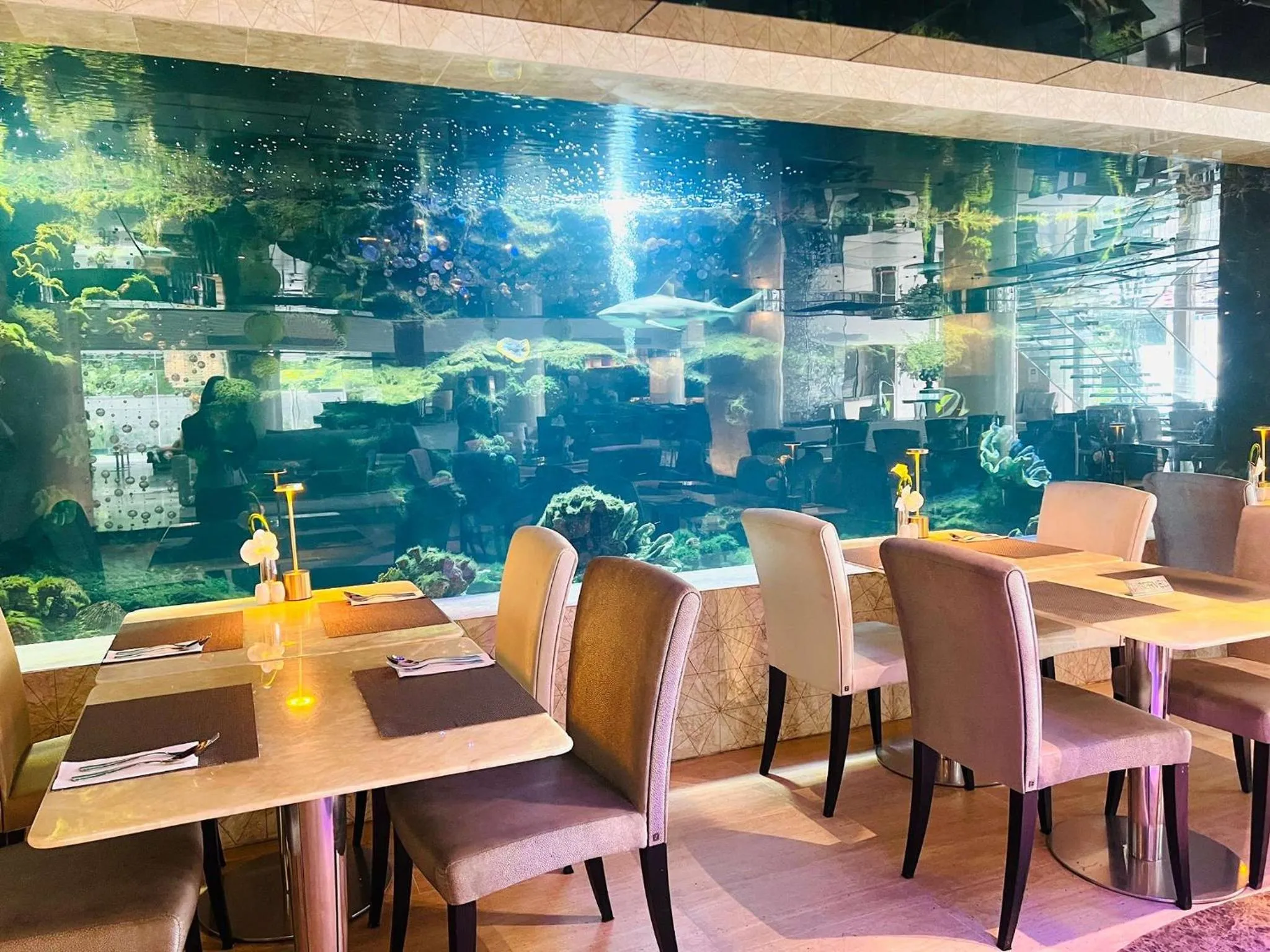 Restaurant/places to eat in The Sanctuary Resort Pattaya, BW Signature Collection