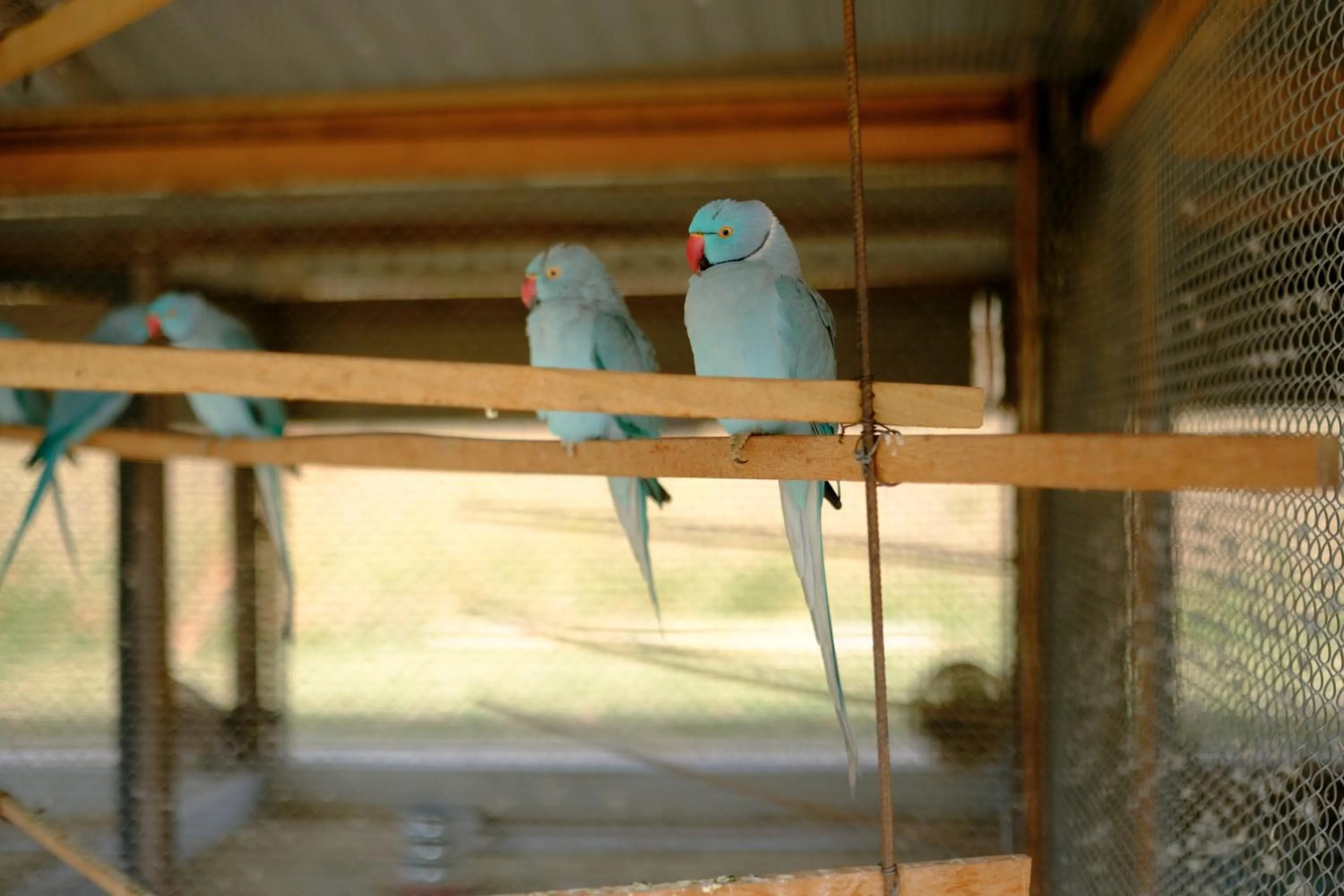 Hotel Chalés Capitanias