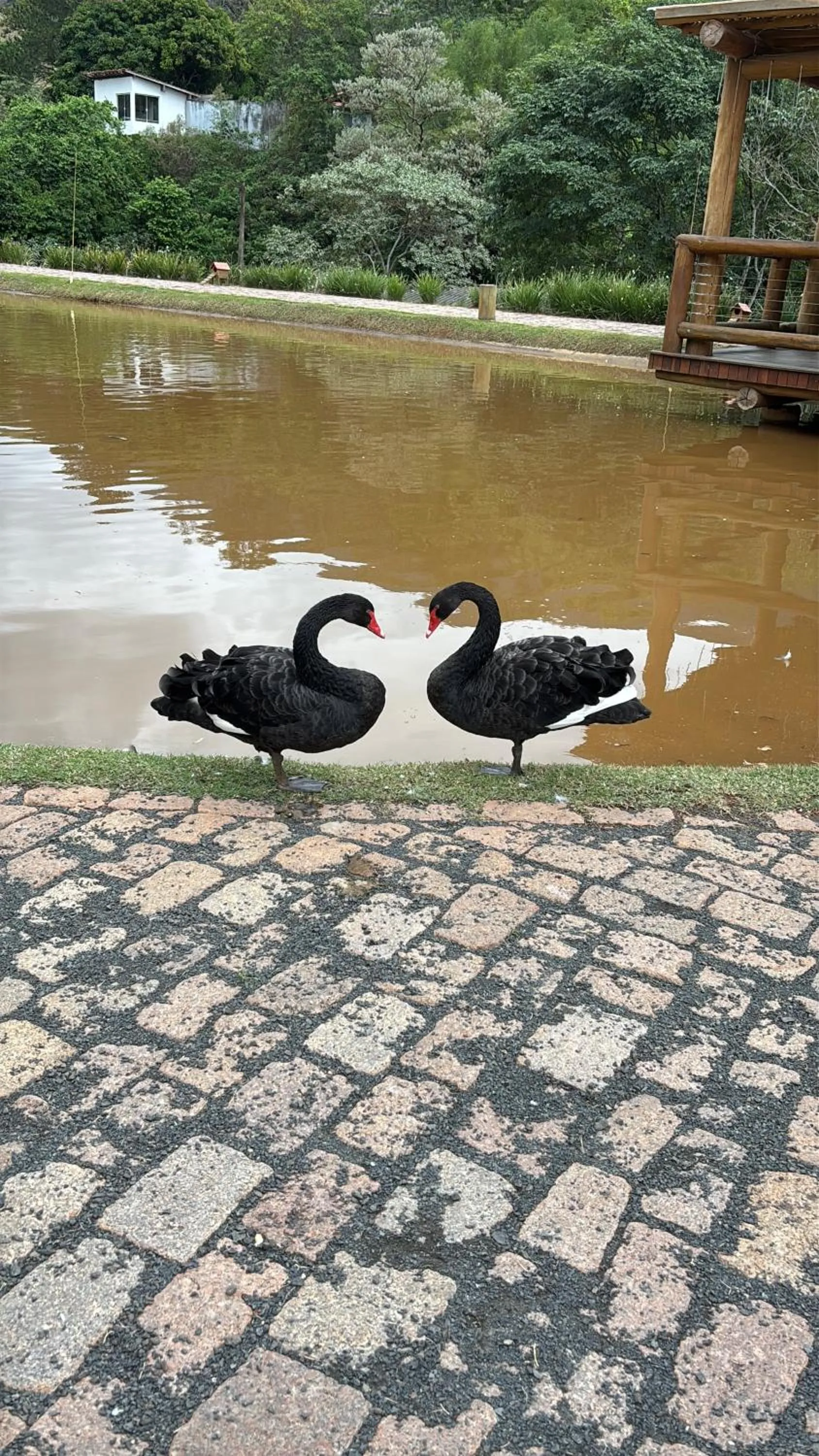 Hotel Chalés Capitanias