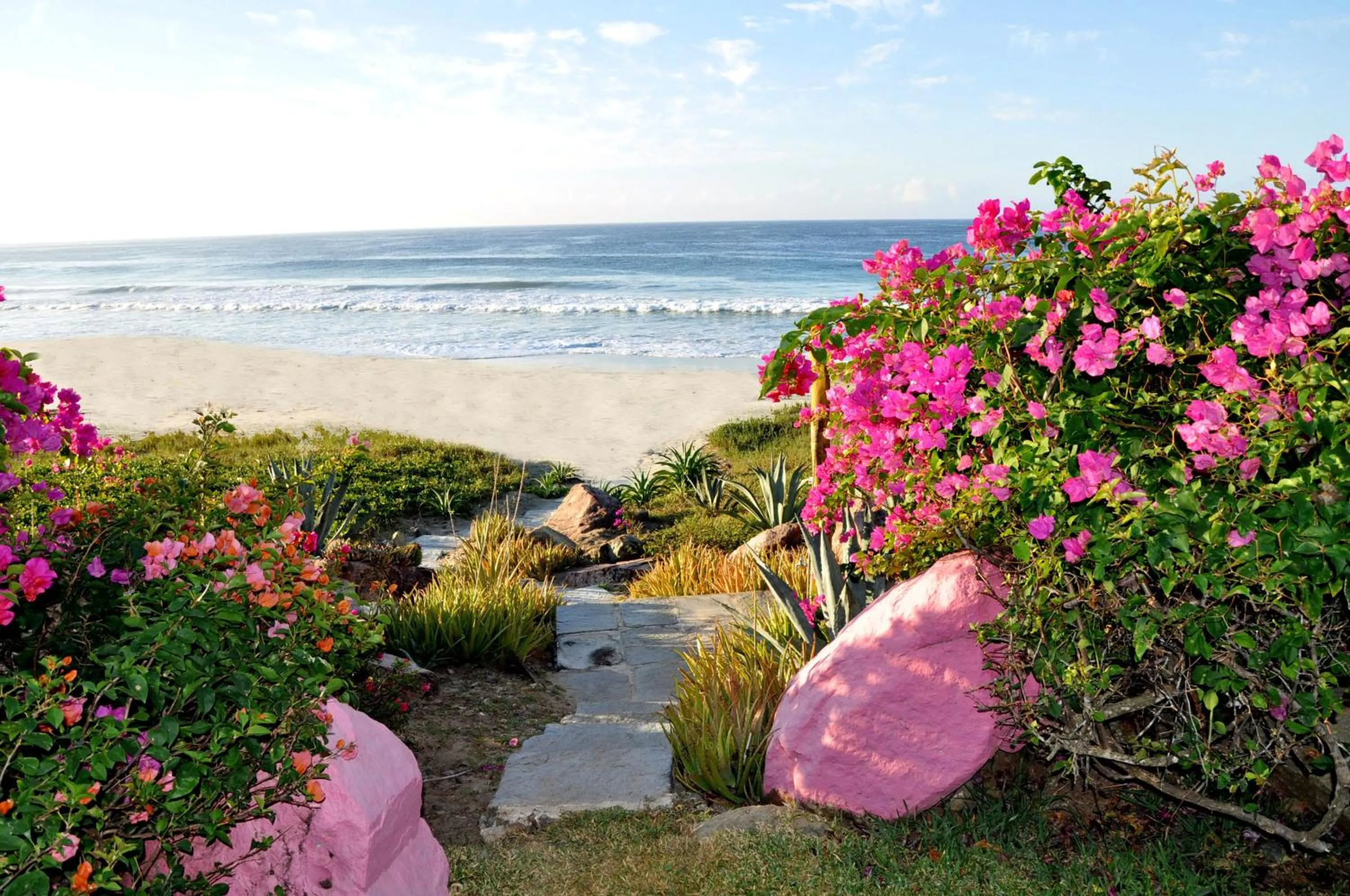 Garden in Las Alamandas
