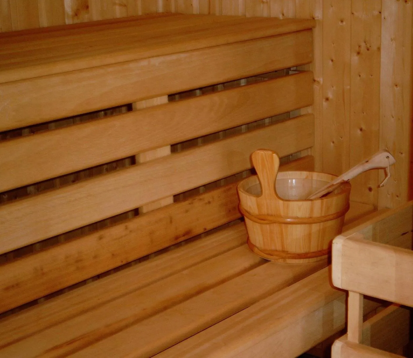 Sauna in Logis Hôtel Restaurant Le Dauphin et Le Spa du Prieuré