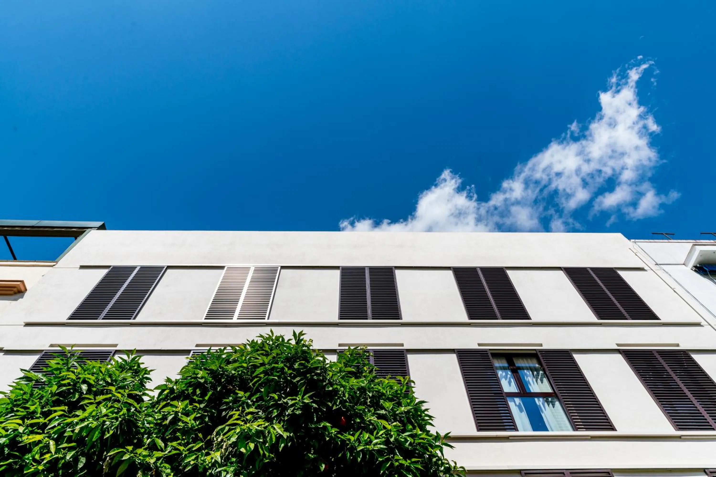 Facade/entrance in atLumbreras16