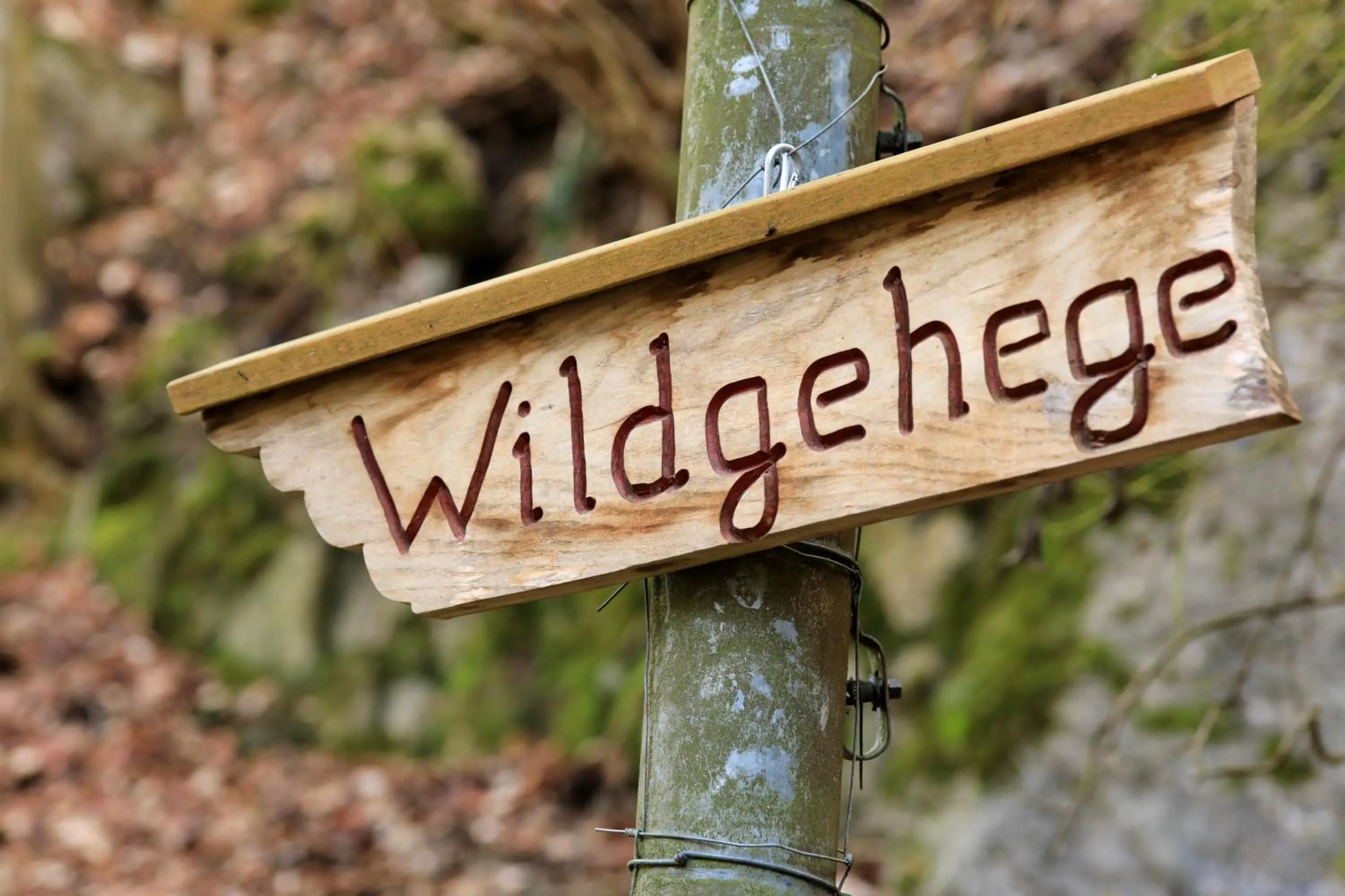 Property logo or sign in Hotel-Restaurant Bibermühle GmbH