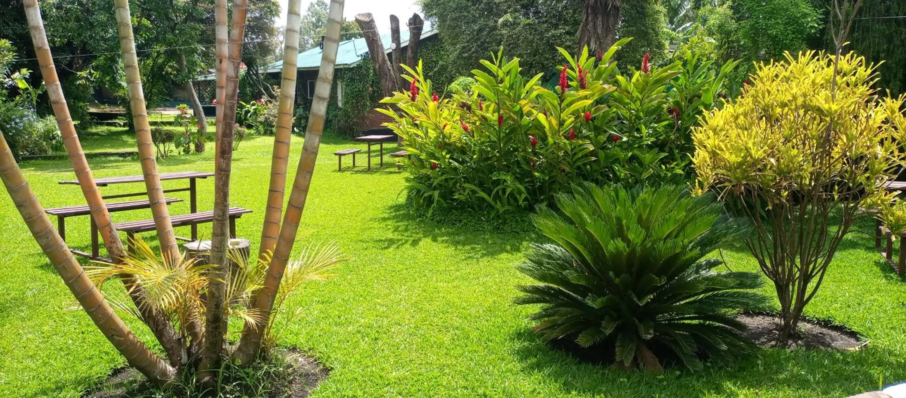 Garden in Karibu Heritage House