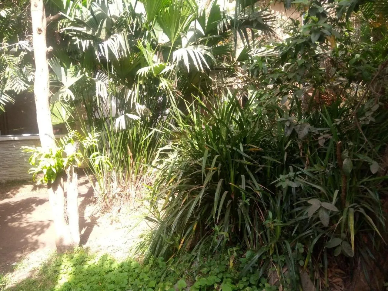 Karibu Heritage House