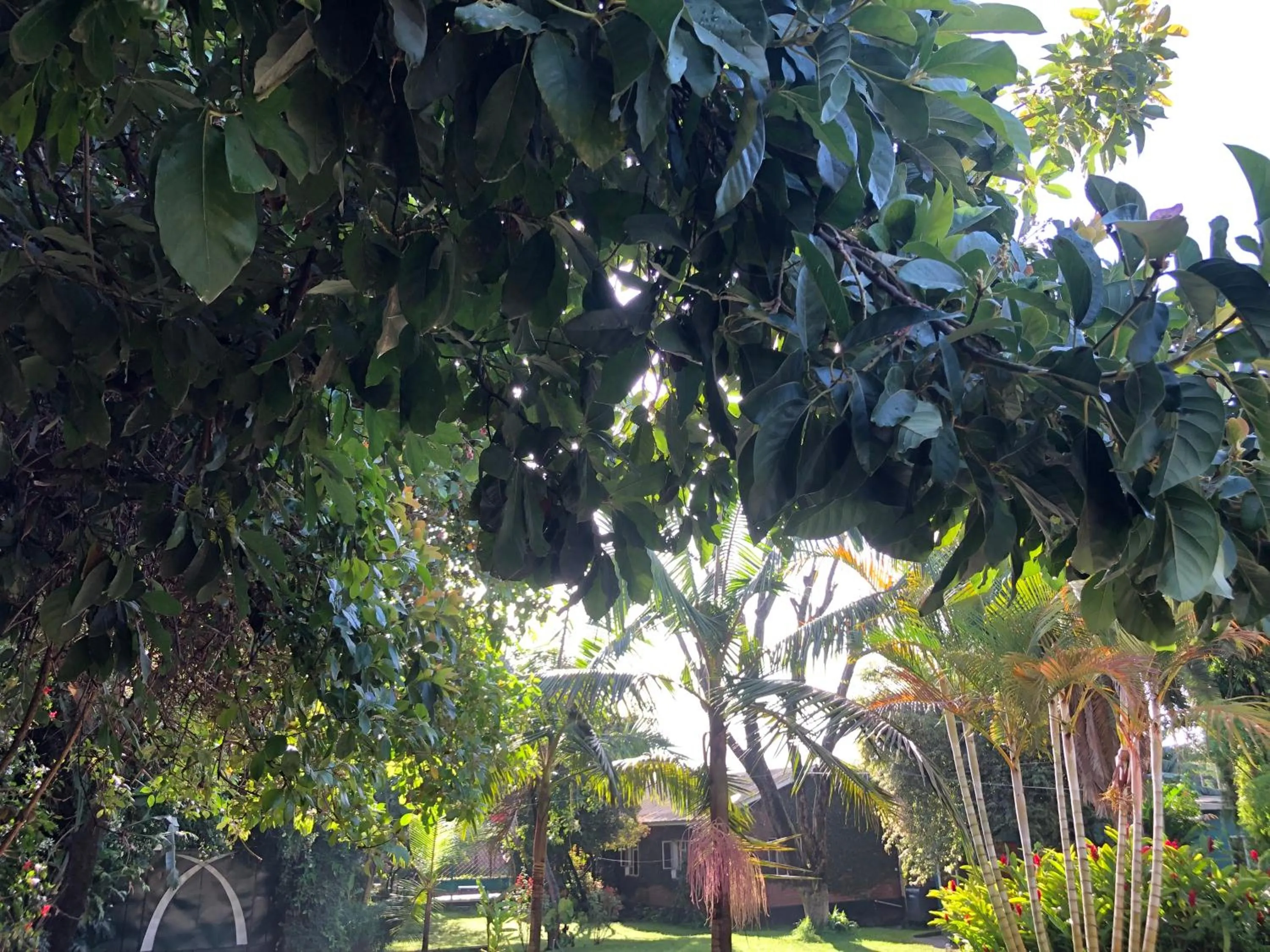 Karibu Heritage House