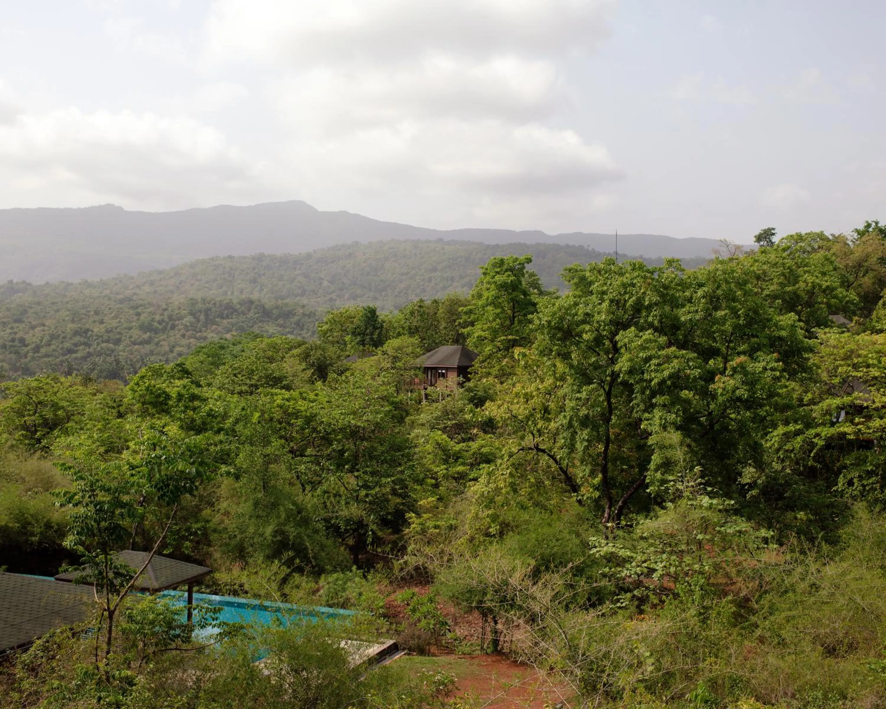 Natural landscape in The Postcard Hideaway, Netravali Wildlife Sanctuary, Goa