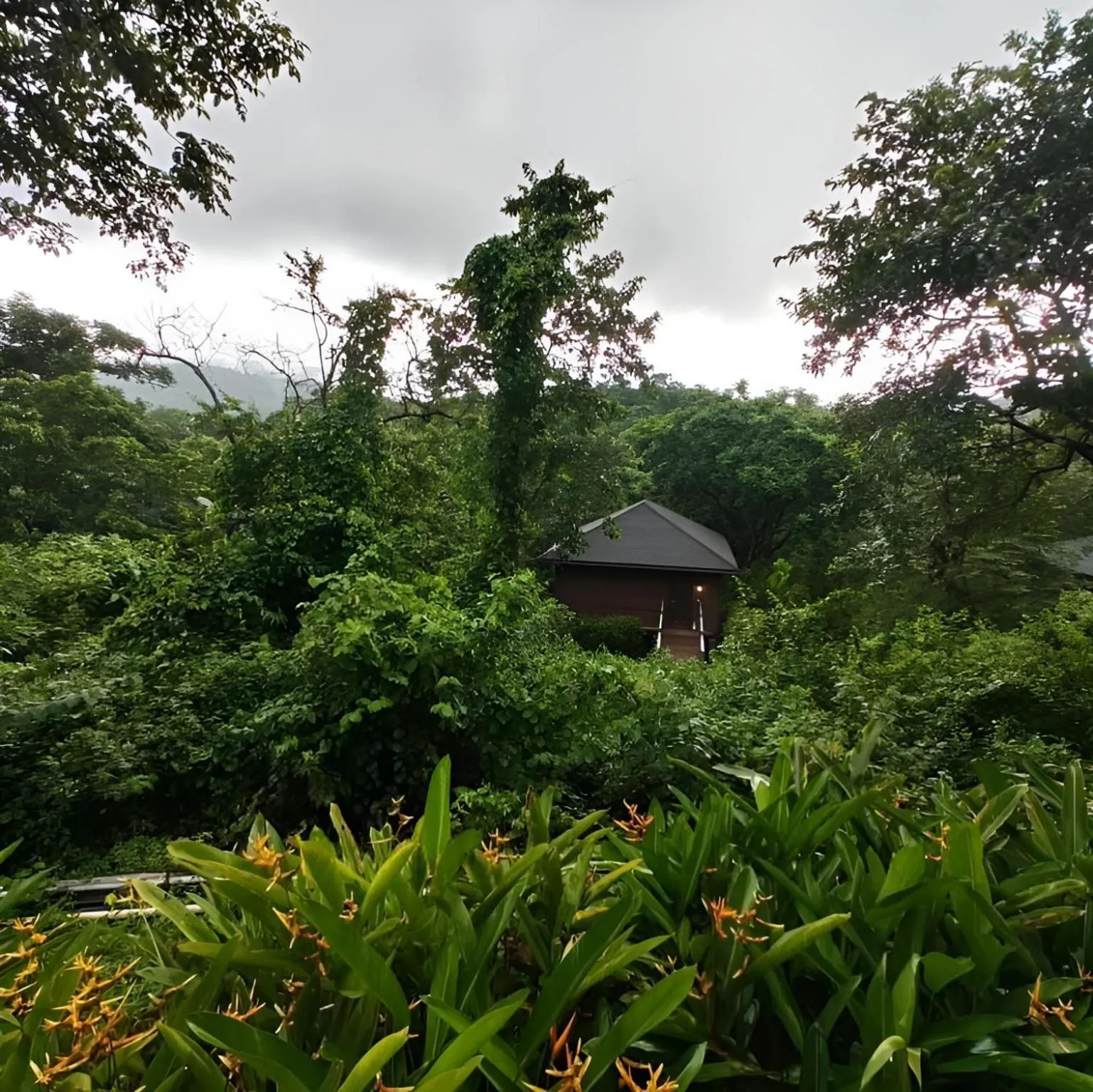 Natural landscape in The Postcard Hideaway, Netravali Wildlife Sanctuary, Goa