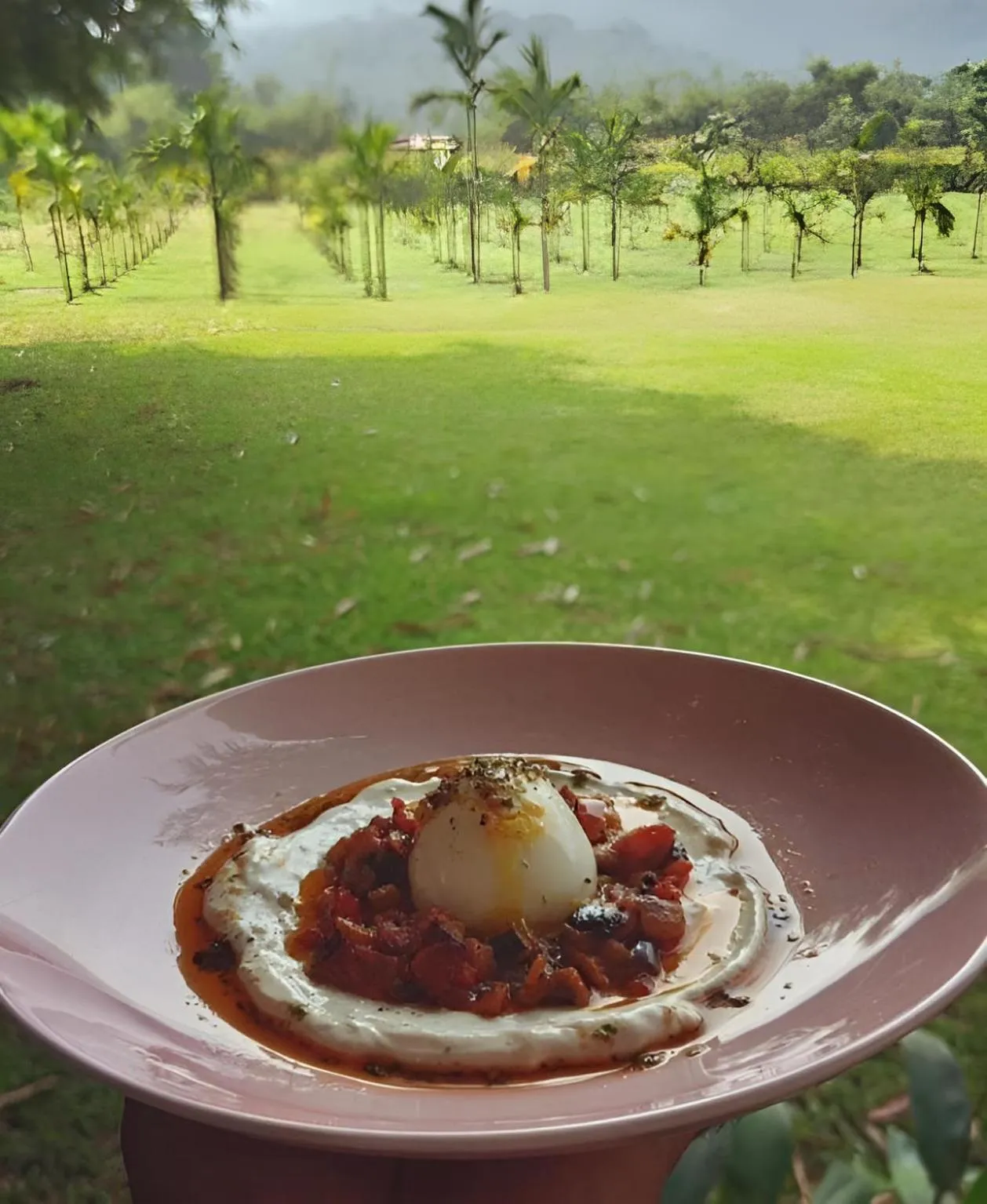 Restaurant/places to eat in The Postcard Hideaway, Netravali Wildlife Sanctuary, Goa