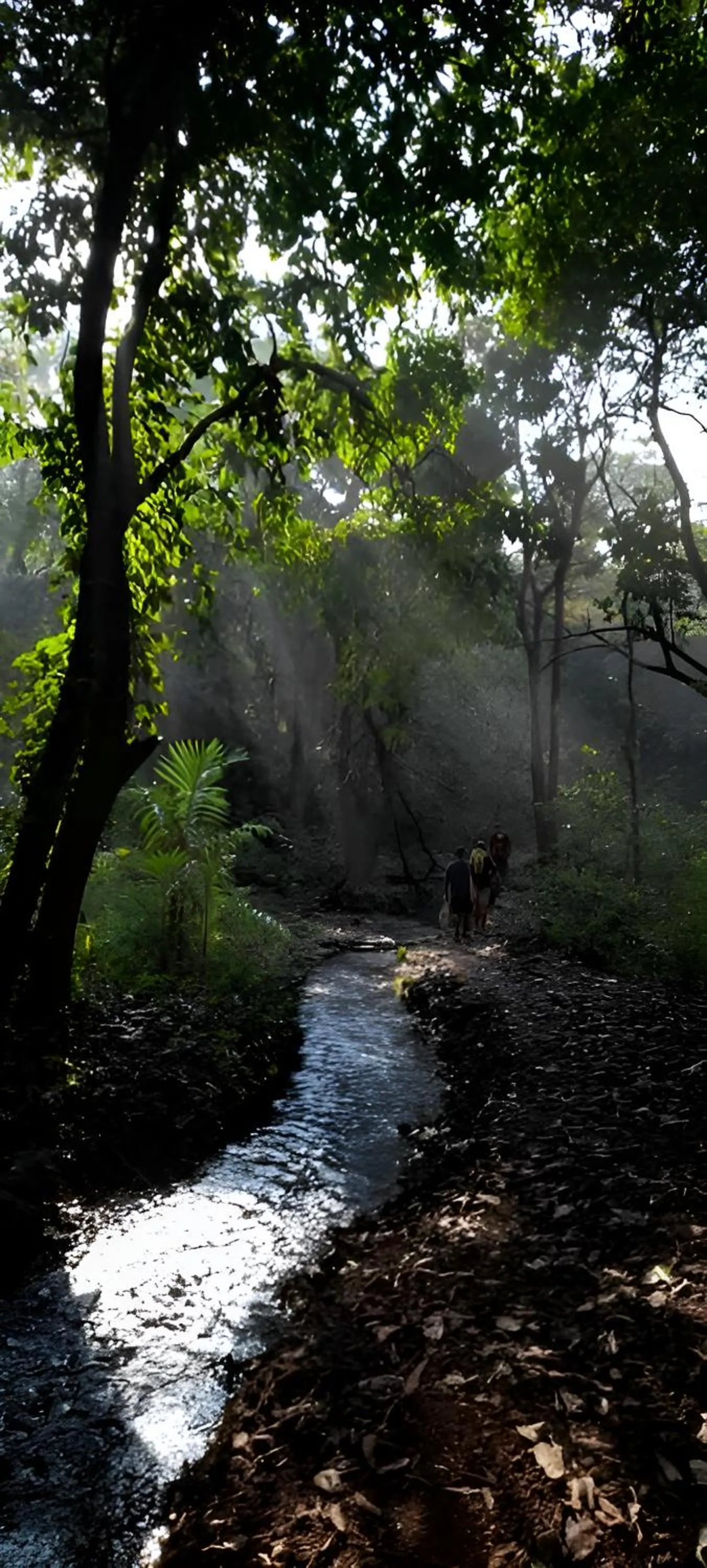 Natural landscape in The Postcard Hideaway, Netravali Wildlife Sanctuary, Goa